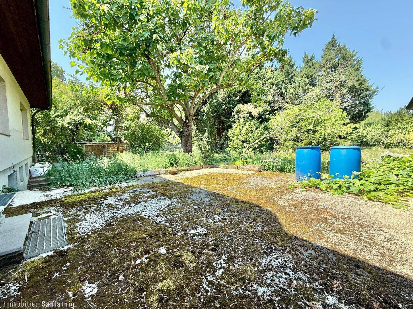 Hausseite mit großem Baum, verwildertem Garten und zwei blauen Regentonnen.
