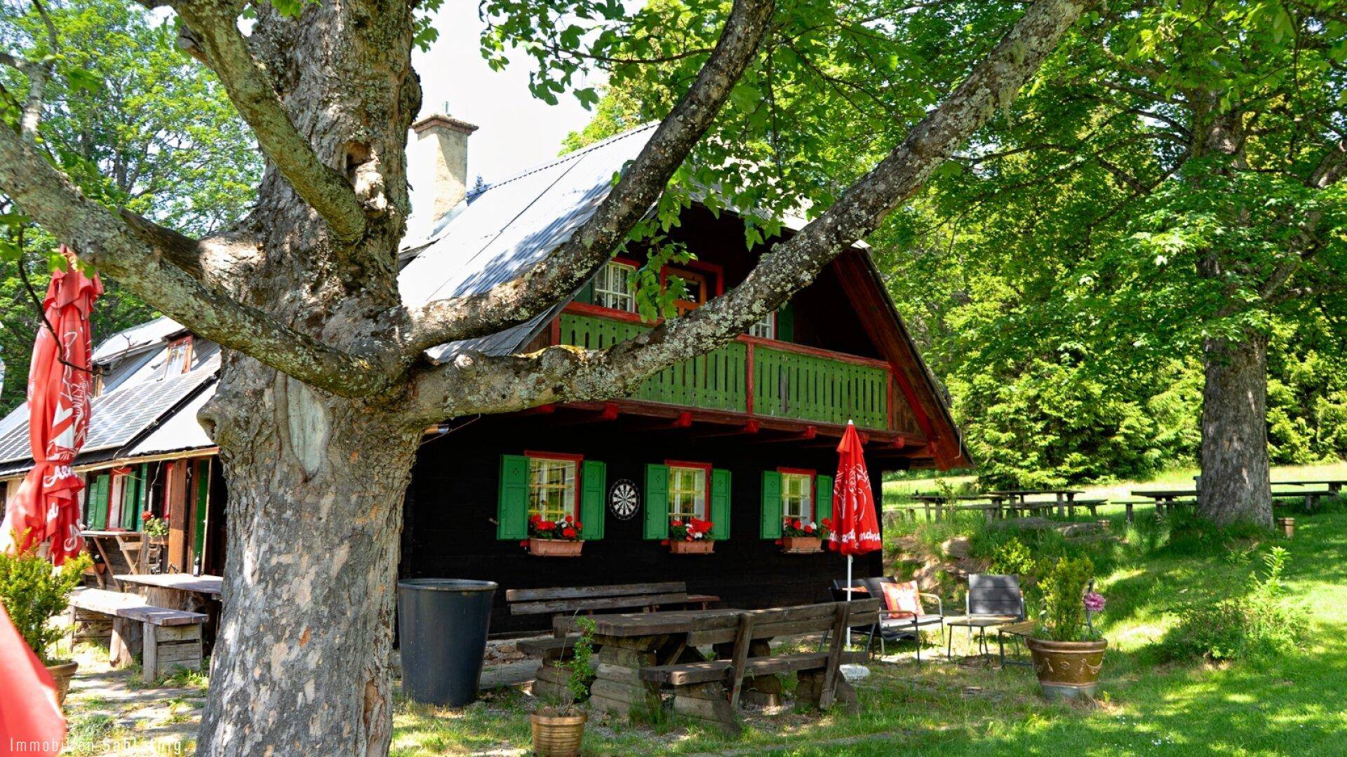 Charmantes Holzhaus mit grünem Balkon und Fensterläden, umgeben von üppiger Vegetation.