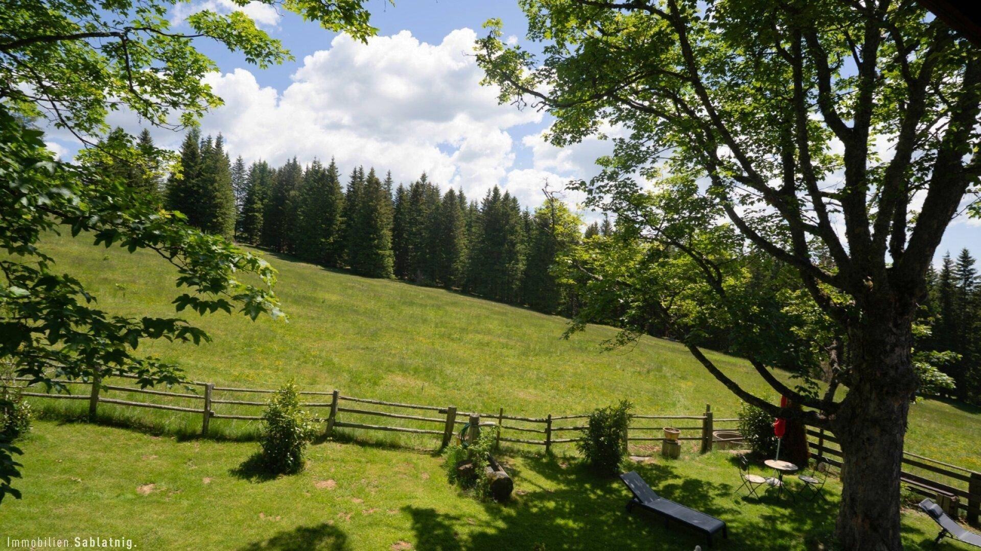 Malerische Berglandschaft mit weiten Wiesen und dichten Wäldern unter einem blauen Himmel.