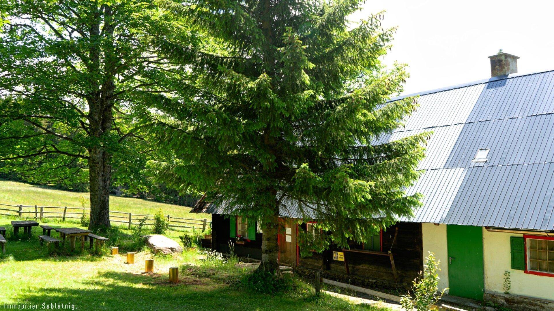 Traditionelles Holzhaus mit Satteldach, umgeben von hohen Bäumen und grünen Wiesen.