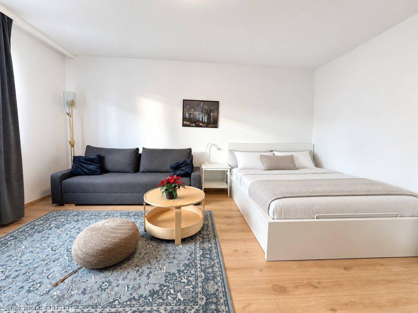 Gemütliches Studio-Apartment mit Schlafsofa, Bett und Teppich auf Holzfußboden.
