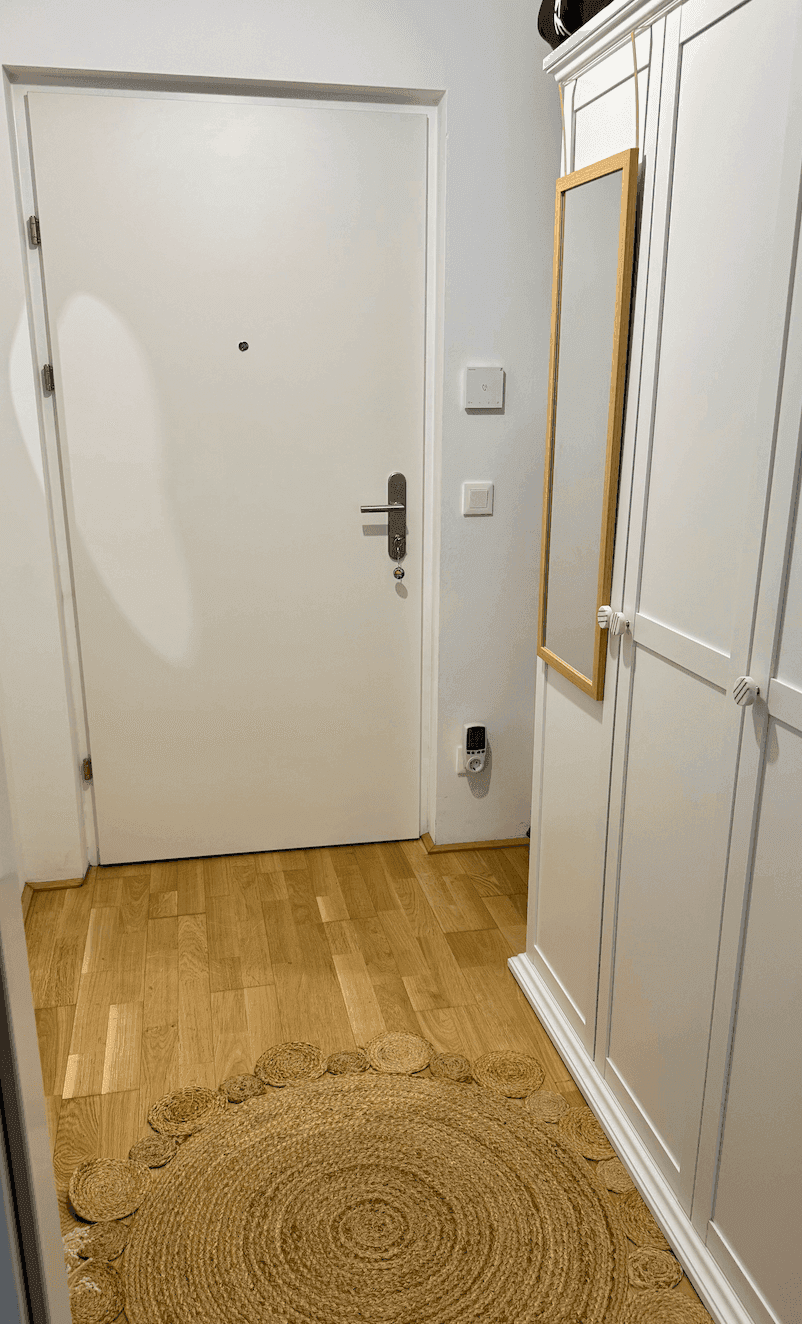 Heller Flur mit weißer Eingangstür, Spiegelschrank und natürlichem Teppich auf Holzboden.