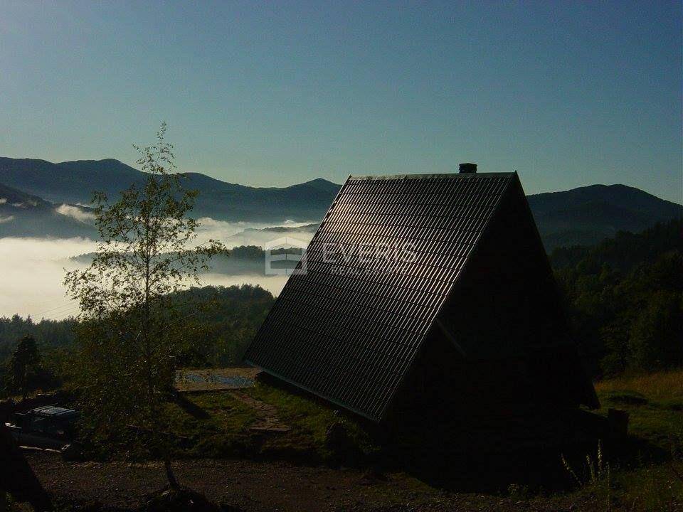 Slide 21