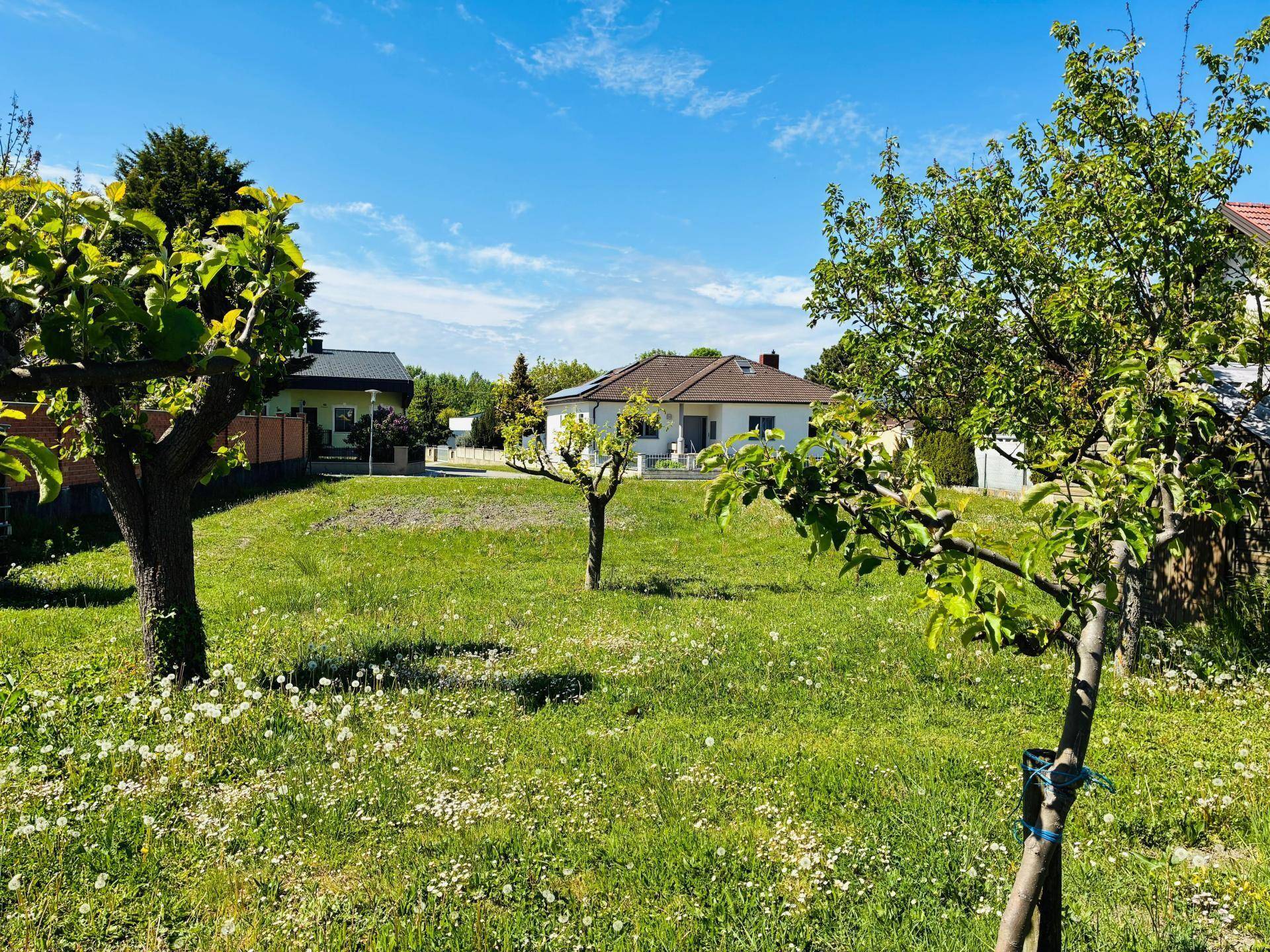 Weitläufiger Garten mit blühenden Wiesen und jungen Obstbäumen, umgeben von weiteren Wohnhäusern.