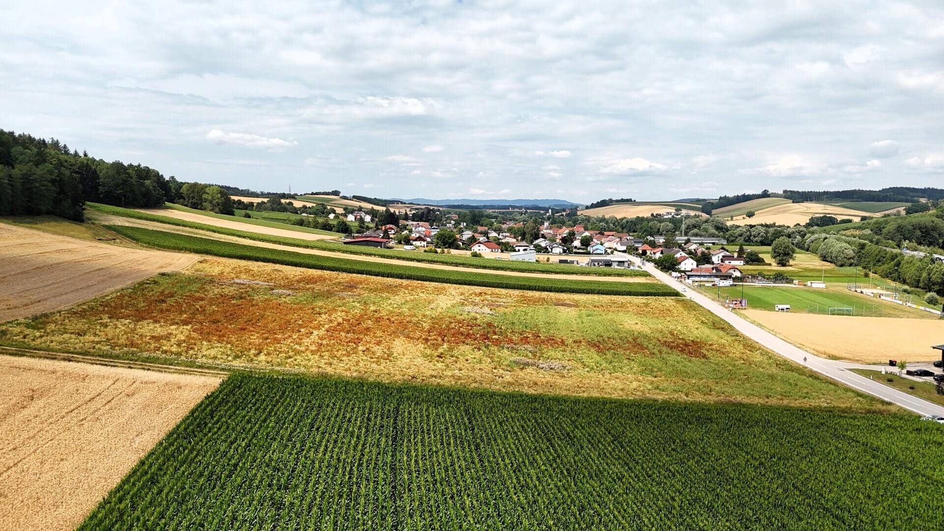 Panoramische Luftaufnahme von weiten Feldern, einem kleinen Dorf in der Ferne und einer Landstraße.