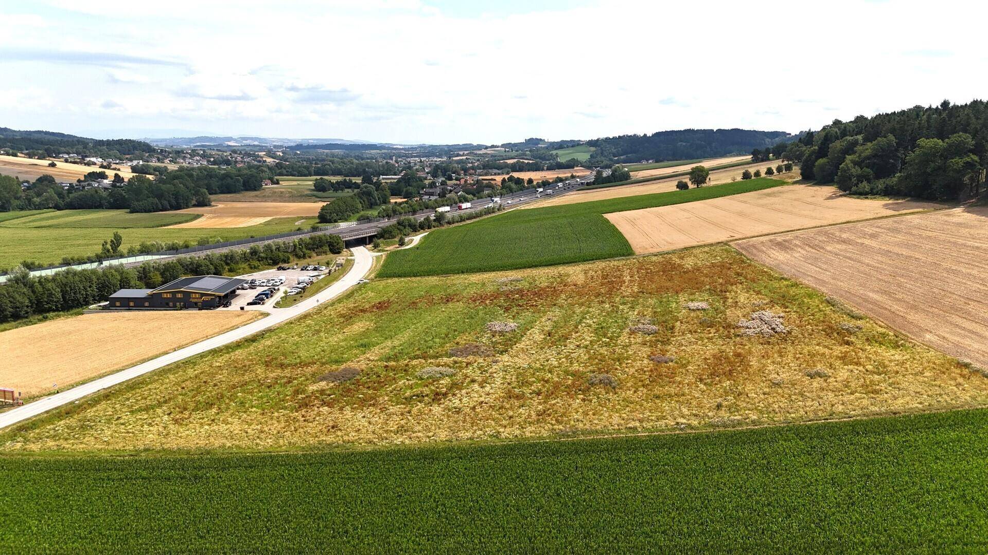 Luftaufnahme des Grundstücks mit angrenzender Autobahn, einem Fluss und weiten Feldern und Wäldern.