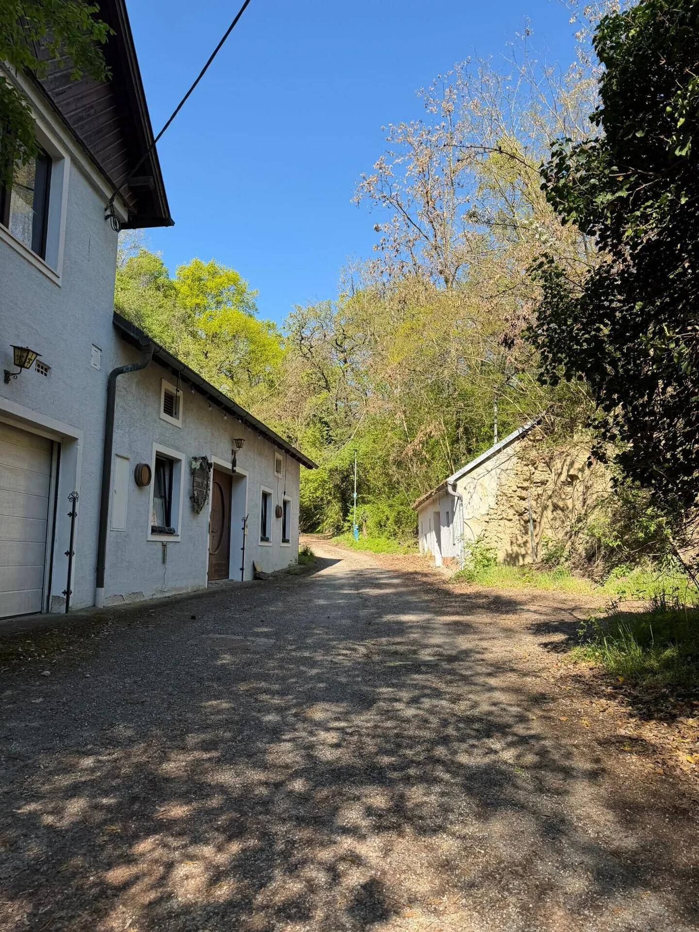Schmale Zufahrtsstraße zwischen zwei Gebäuden und einer bewachsenen Felswand, umgeben von viel Grün.