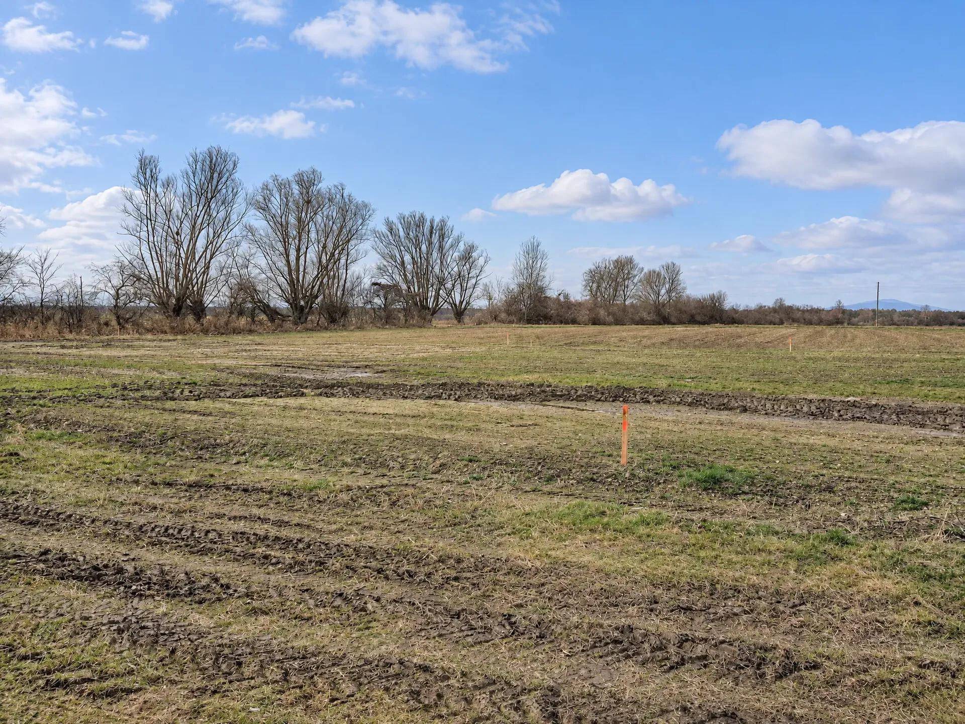 Offenes Feld mit Spuren von Erdarbeiten und kahlen Bäumen am Horizont unter blauem Himmel.