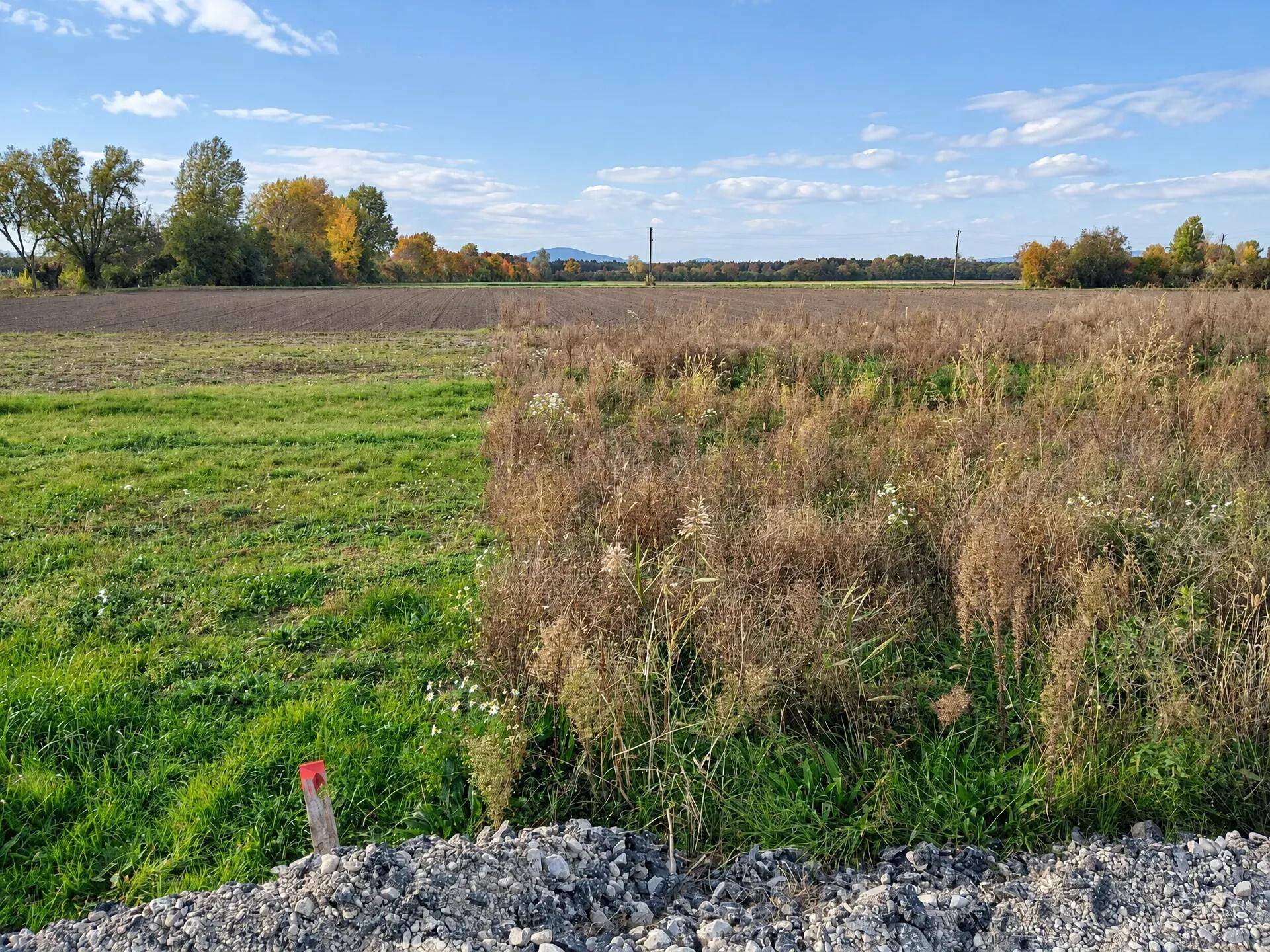 Weitläufiges Feld mit unterschiedlicher Vegetation und einem Bergzug in der Ferne unter blauem Himmel.
