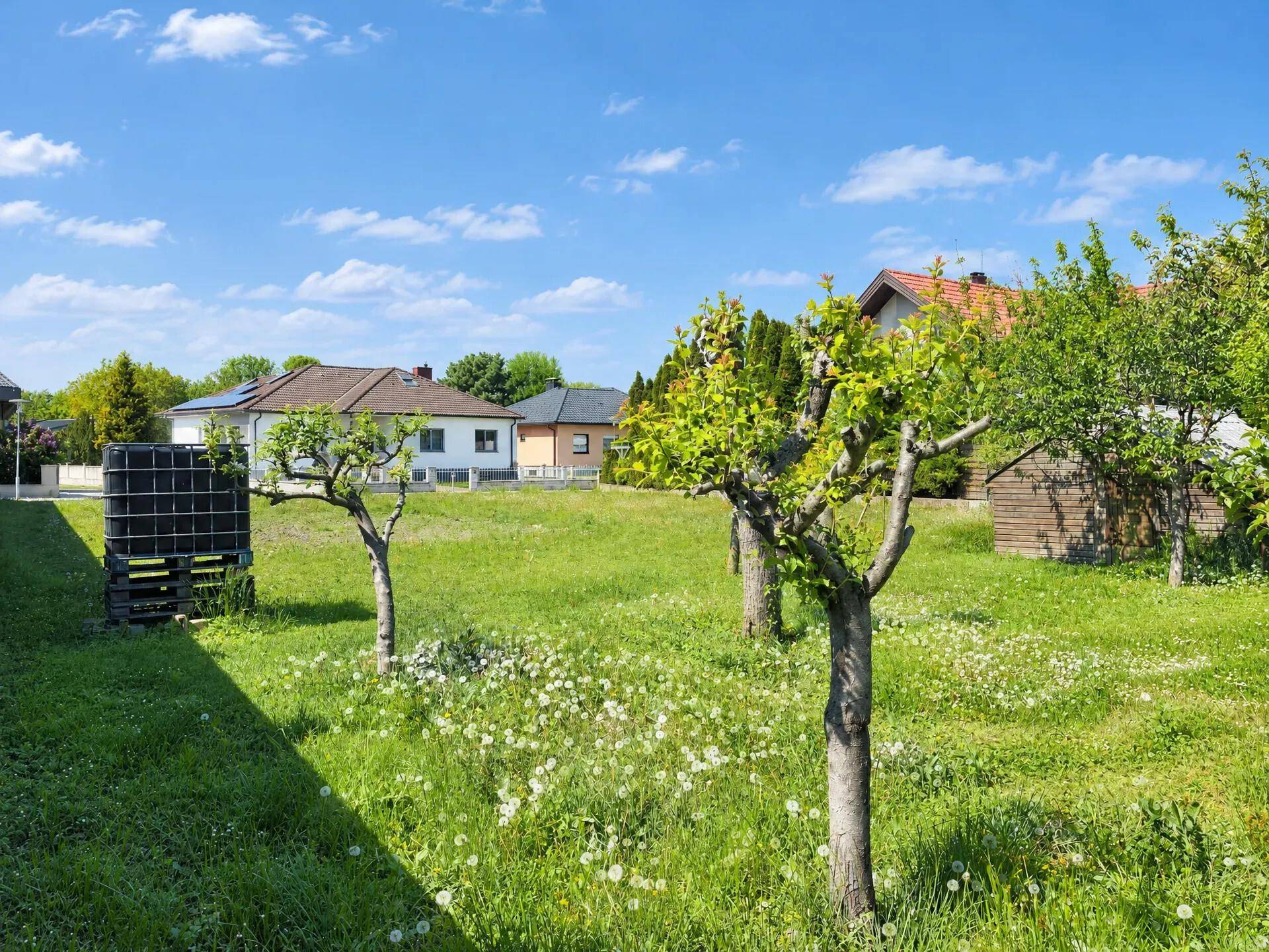 Grüner Gartenbereich mit jungen Obstbäumen und einem Wassertank im Hintergrund.
