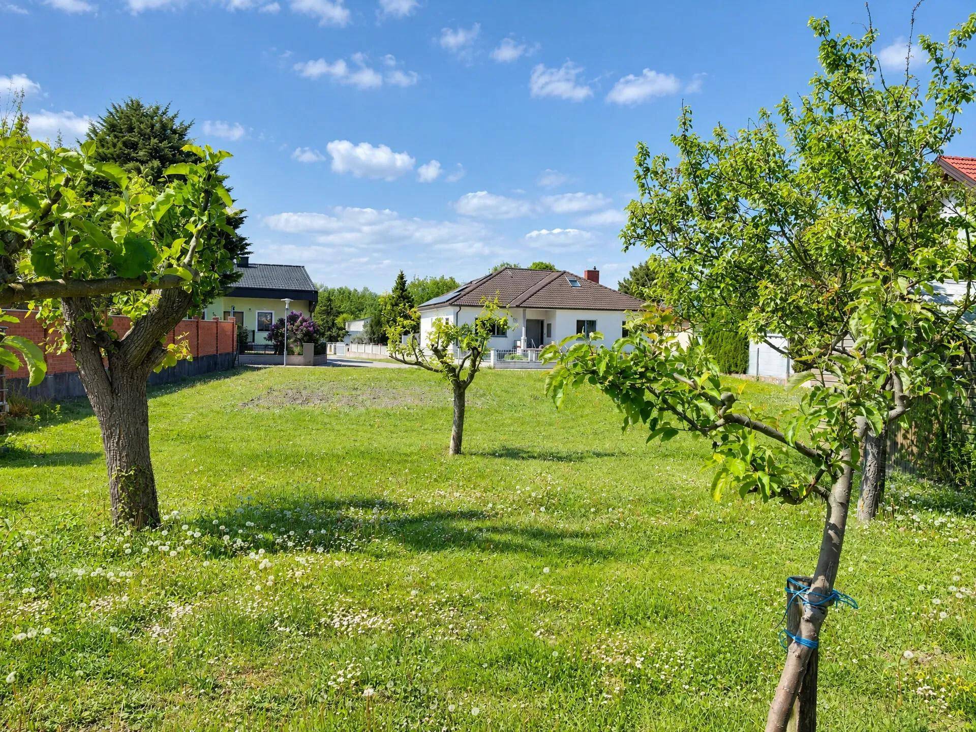 Gepflegter Garten mit Rasenfläche und jungen Obstbäumen, im Hintergrund ein Einfamilienhaus.