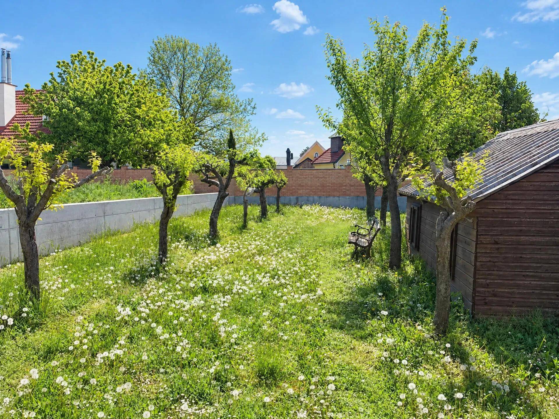 Grüner Gartenbereich mit jungen Obstbäumen, einem Holzschuppen und einer Sitzbank.