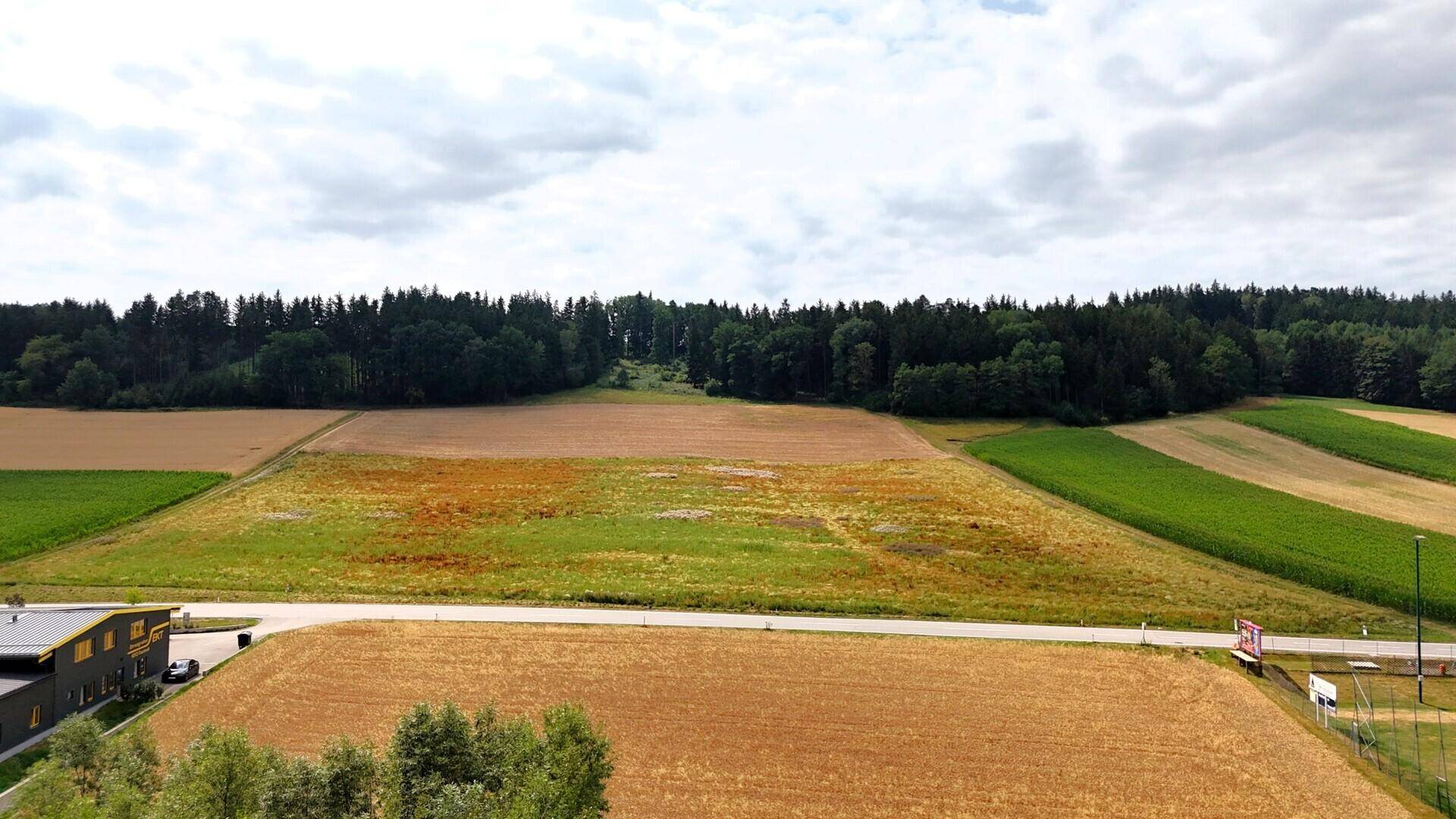Weitläufige Luftaufnahme von Feldern, einer Straße und einem dichten Waldstreifen am Horizont unter bewölktem Himmel.
