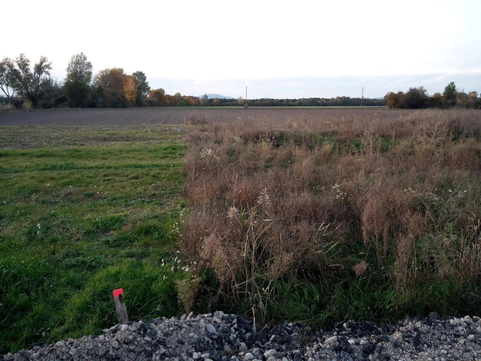 Ländliches Grundstück mit gemischter Vegetation und weitem Blick in die Ferne.