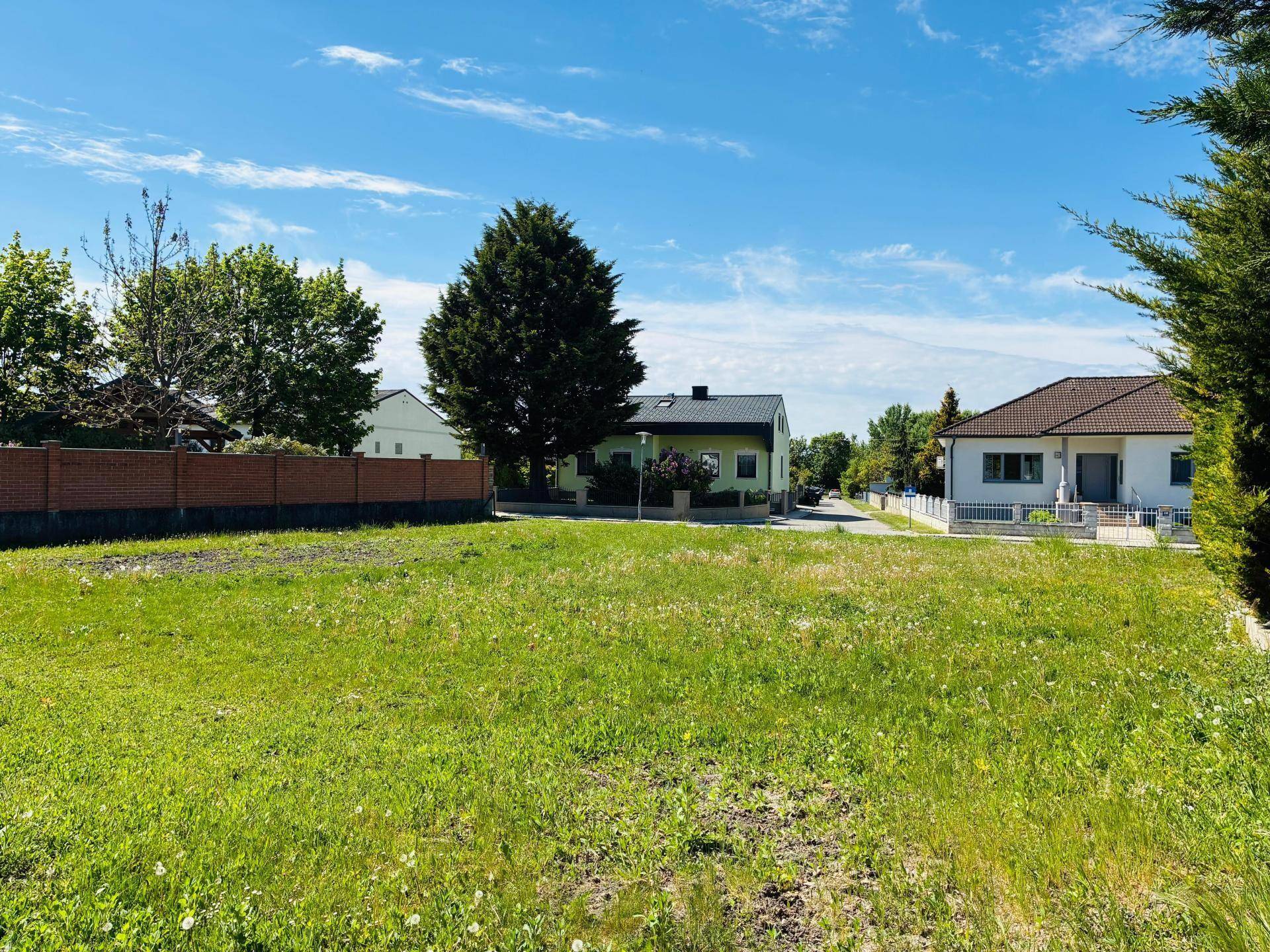 Offenes Baugrundstück mit Wiese, umgeben von Wohnhäusern und einem sonnigen blauen Himmel.