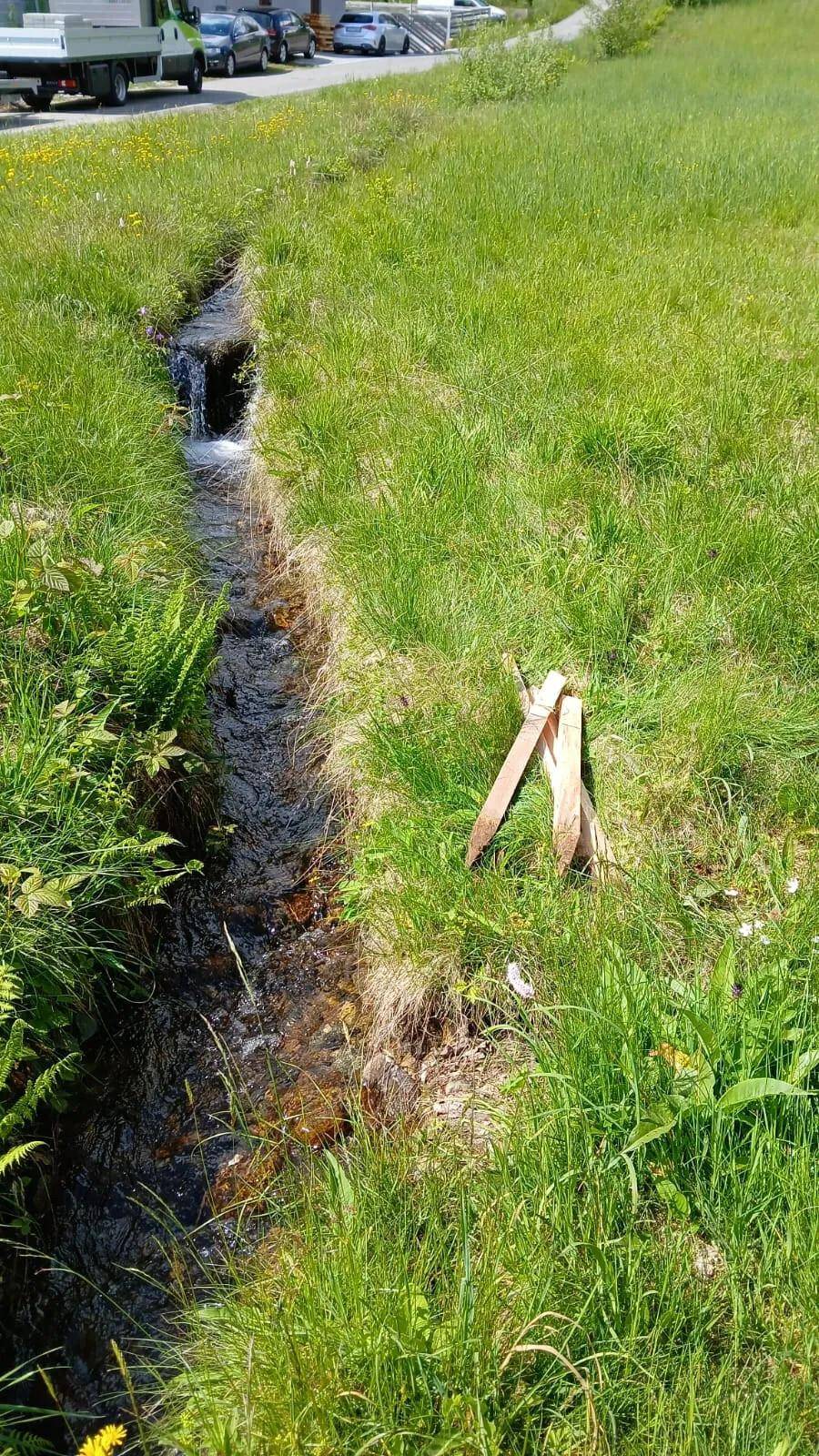 Kleiner Bachlauf oder Graben mit fließendem Wasser, umgeben von üppigem Grün und Farnen.