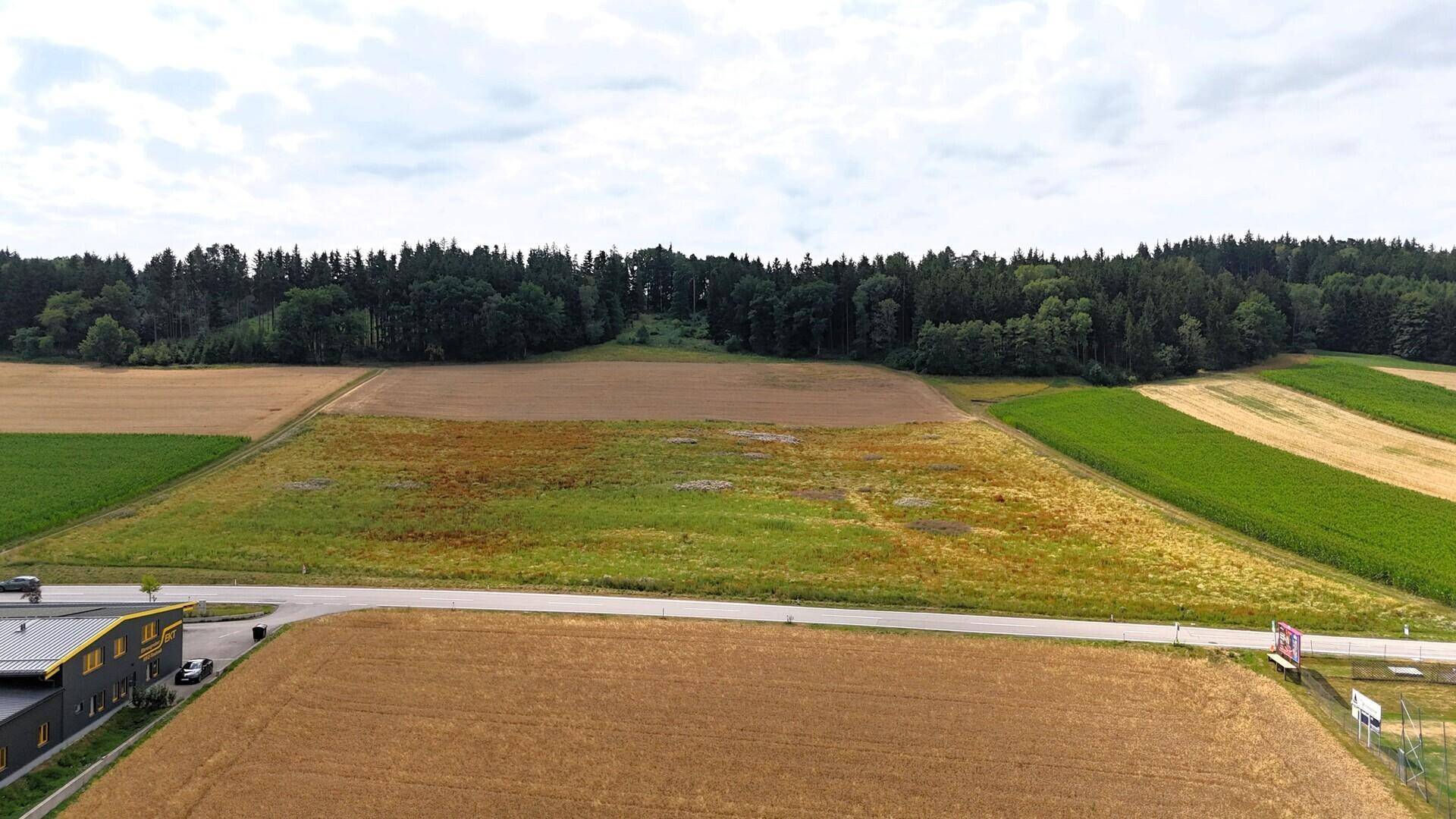 Weitläufige Luftaufnahme von Feldern, einer Straße und einem Wald im Hintergrund, mit einem Gebäude am linken Rand.