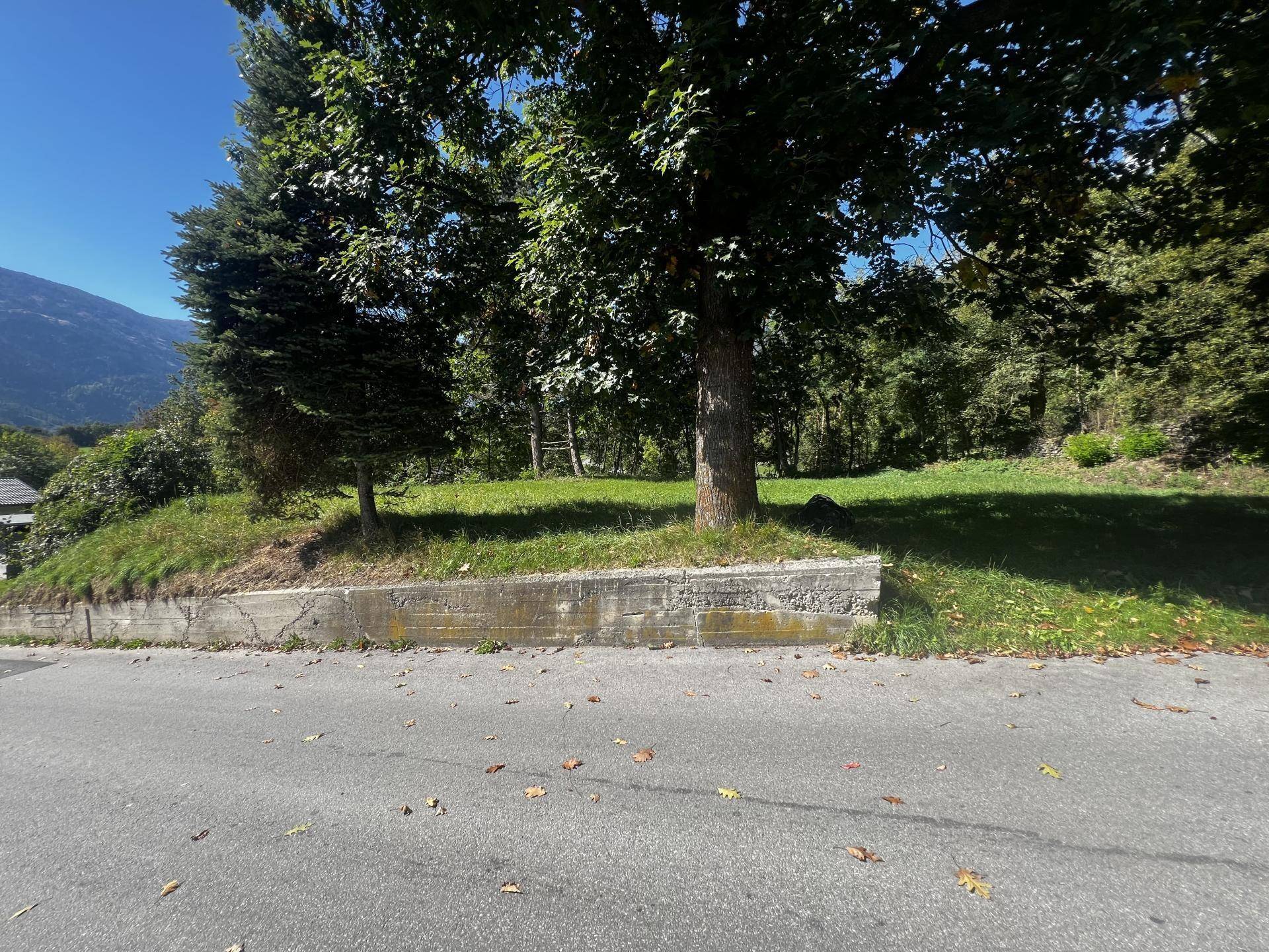 Straßenansicht des Grundstücks mit einer Stützmauer und altem Baumbestand im Hintergrund.