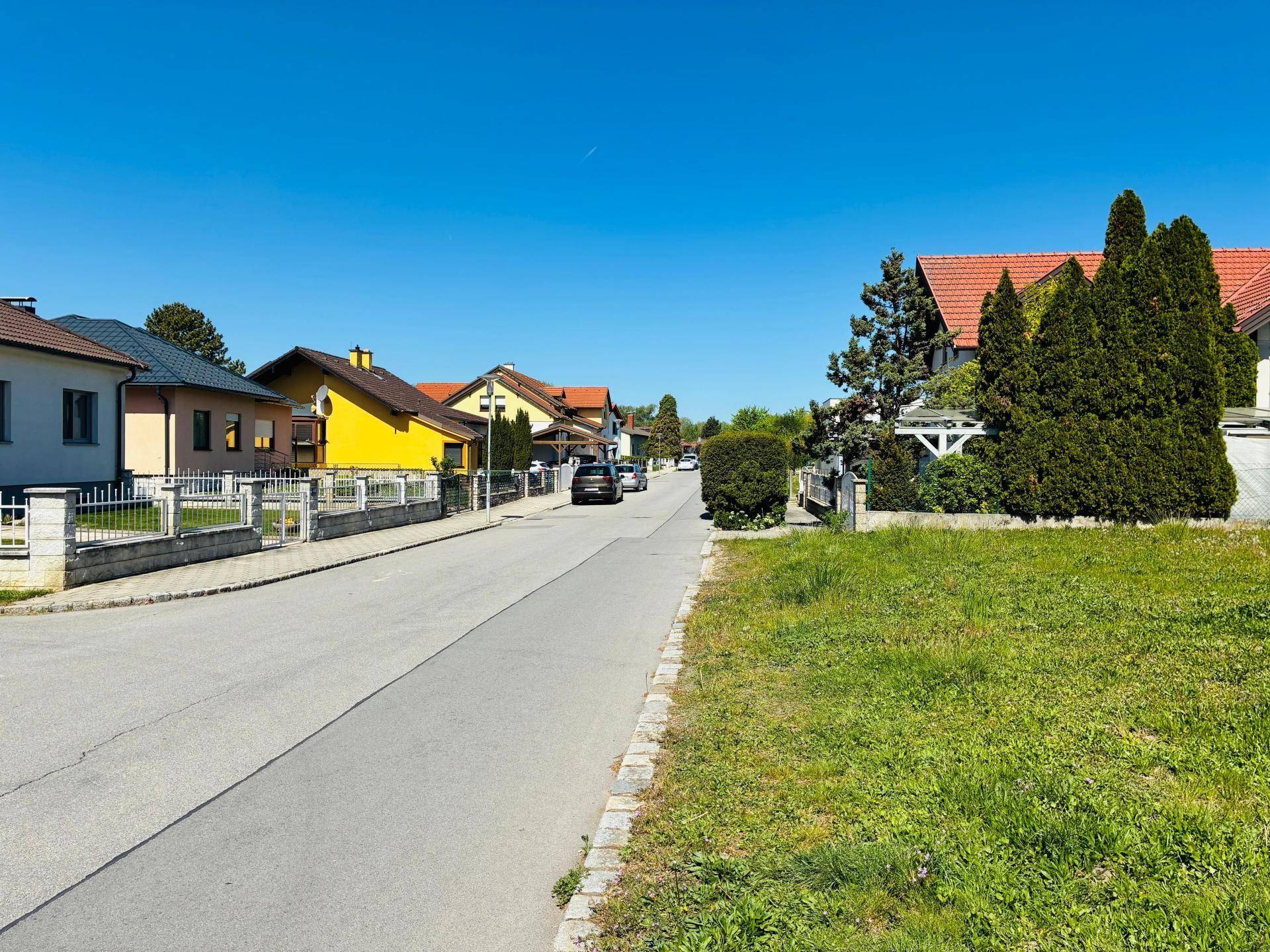 Ruhige Wohnstraße mit gepflegten Häusern und einem sonnigen Grünstreifen am Straßenrand.