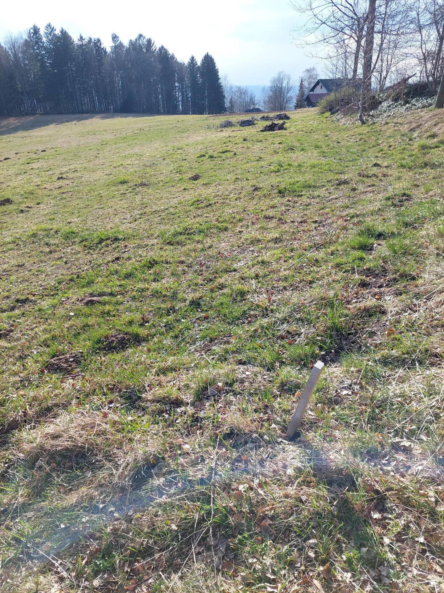 Hanglage mit spärlichem Gras und Blick auf einen Wald sowie ein Haus in der Ferne.