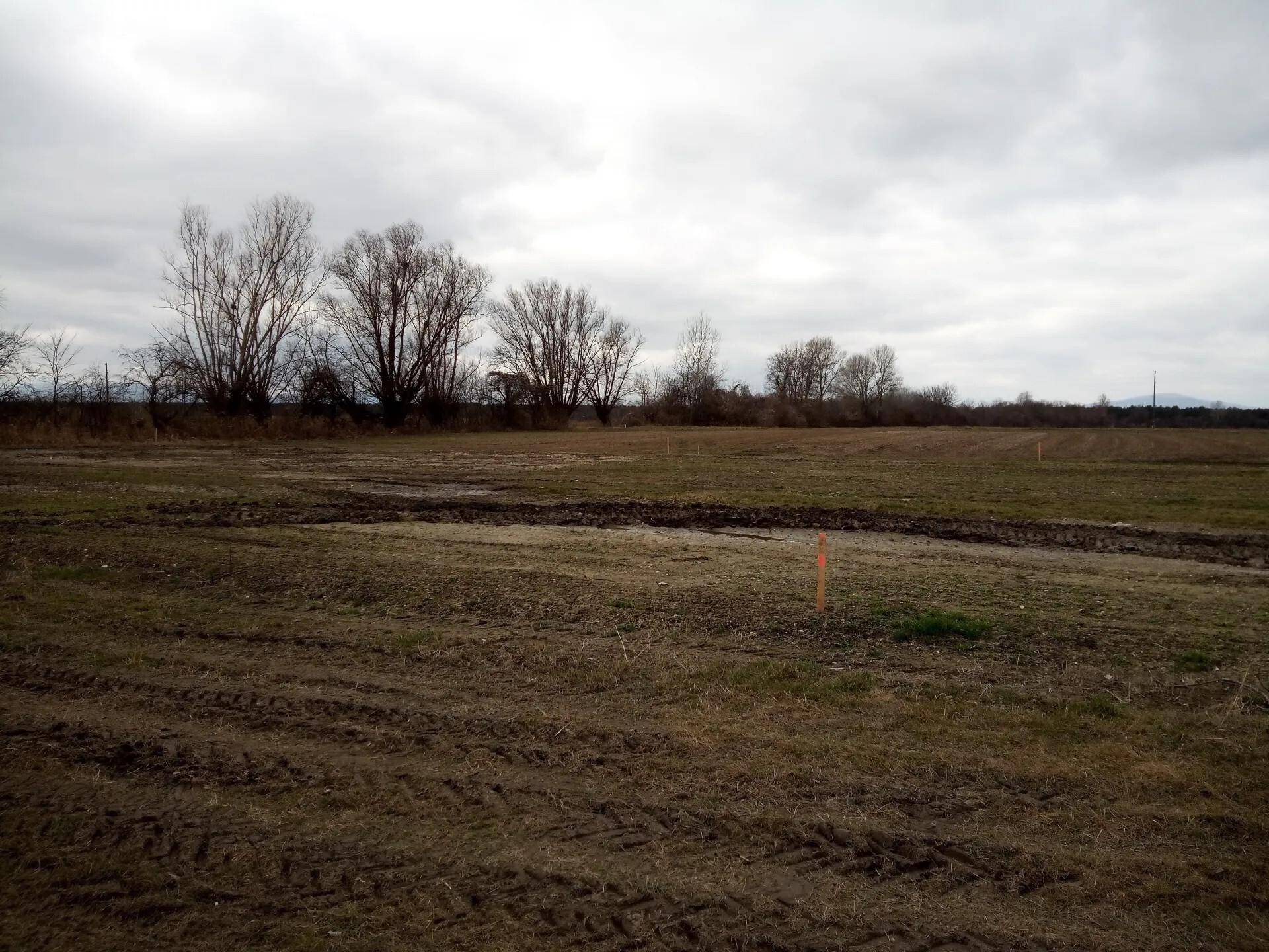 Weites, unbebautes Feld unter bewölktem Himmel mit Bäumen am Horizont.