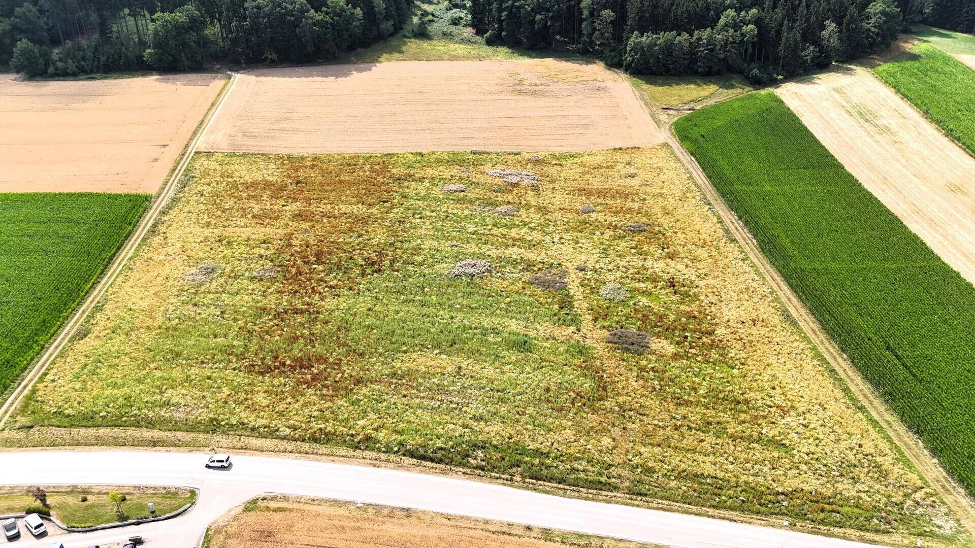 Detaillierte Luftaufnahme des Hauptgrundstücks mit angrenzenden Feldern und einer Straße im Vordergrund.