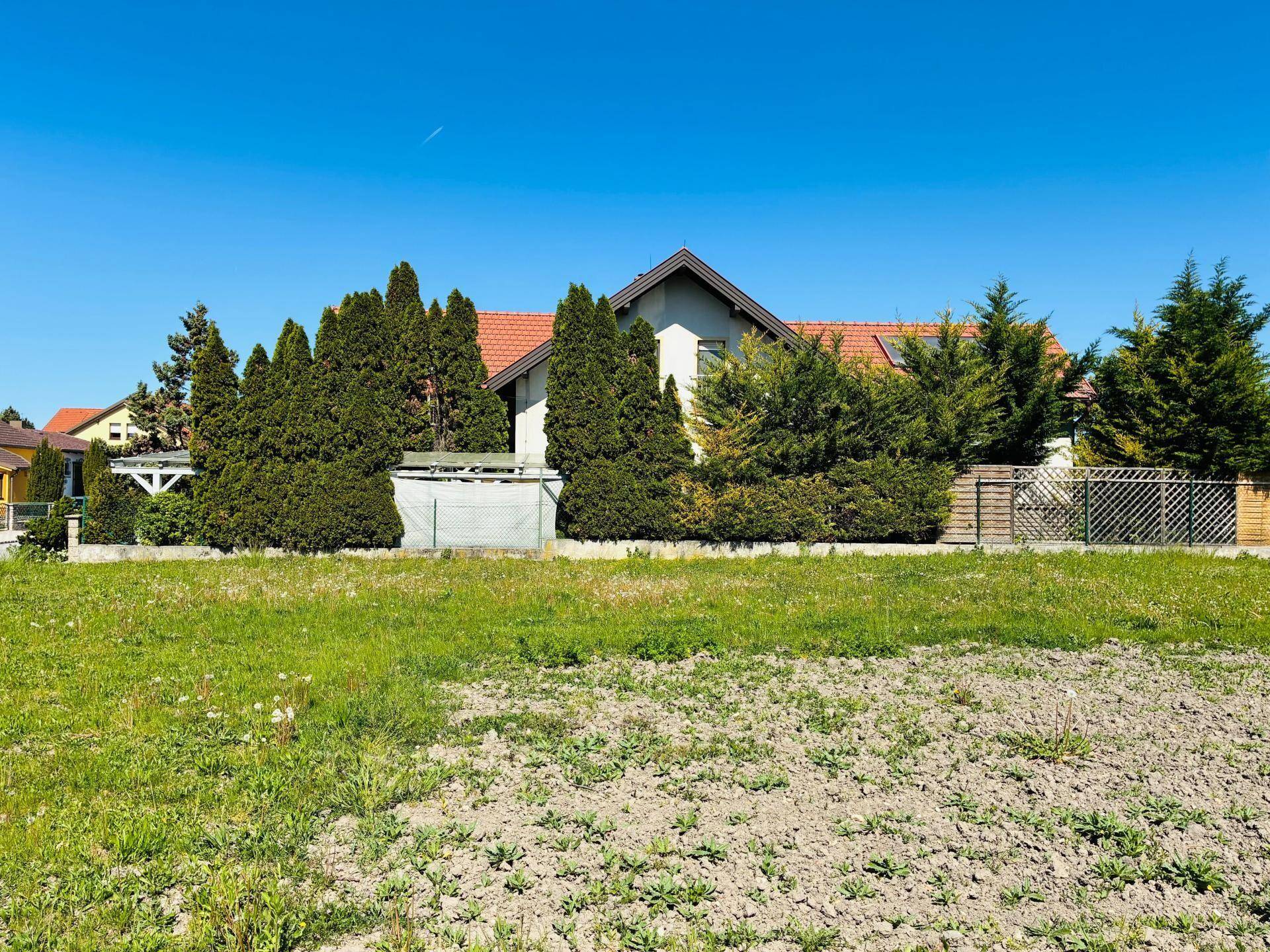 Großes unbebautes Grundstück mit Rasenfläche, umgeben von hohen Bäumen und einem Wohnhaus im Hintergrund.