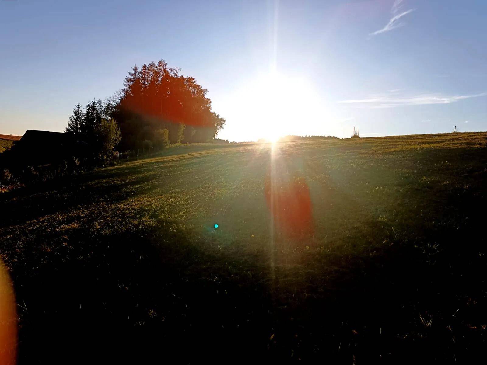 Sonnenuntergang über einer weiten Wiese mit Bäumen am Horizont und starkem Sonnenlicht.