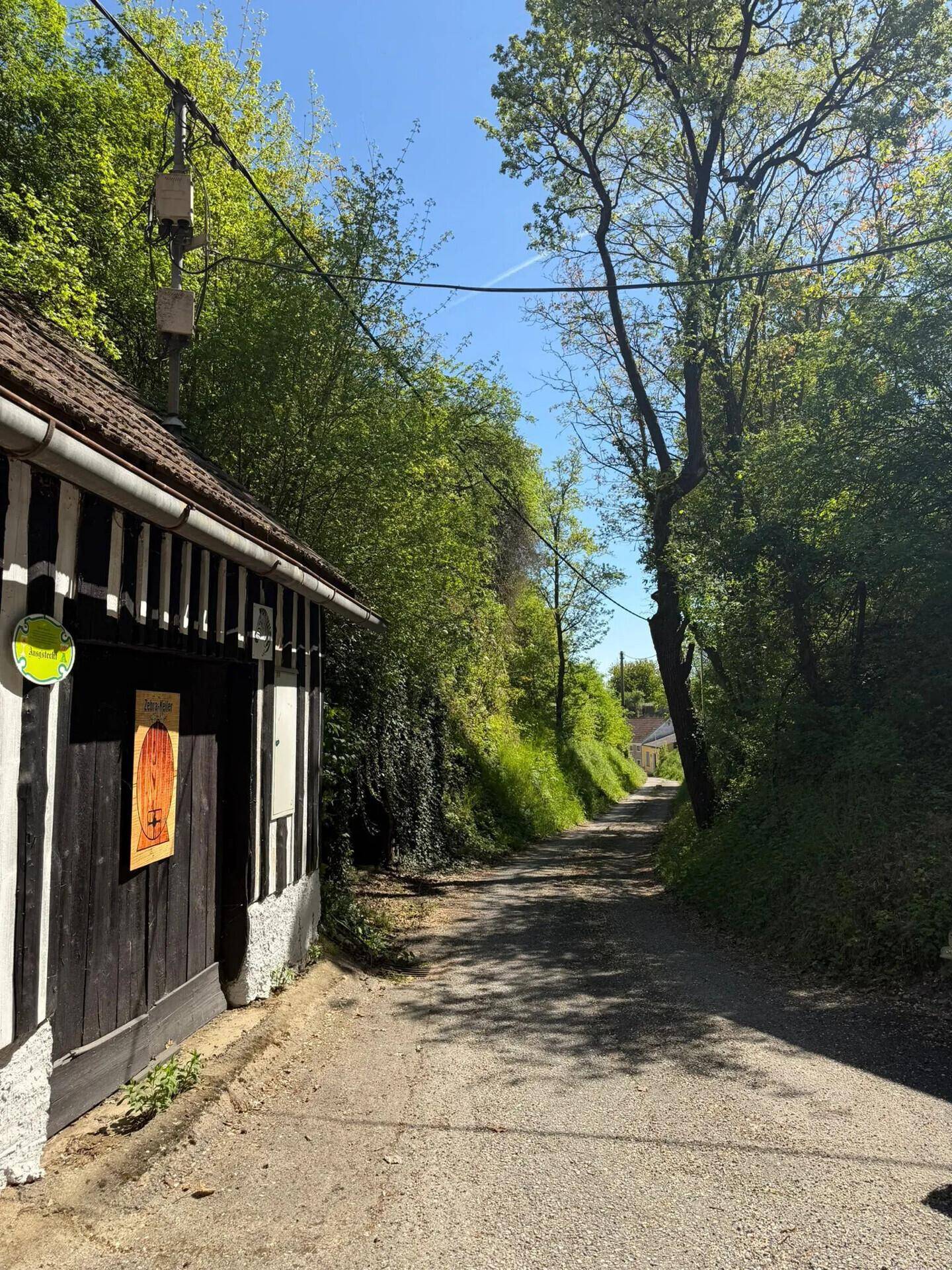 Blick entlang einer schmalen, von Bäumen gesäumten Straße, vorbei an einem rustikalen Gebäude mit gestreifter Fassade.
