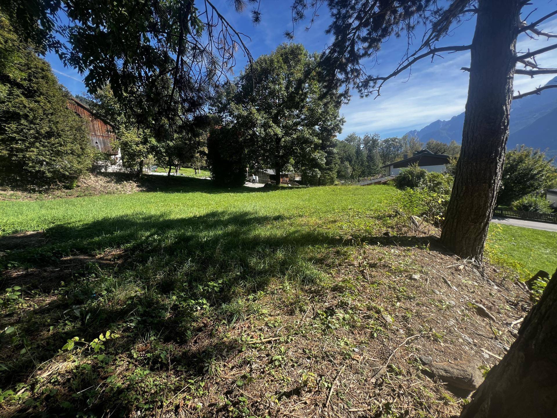 Naturbelassenes Grundstück mit altem Baumbestand und einem weiten Blick auf die Bergwelt.