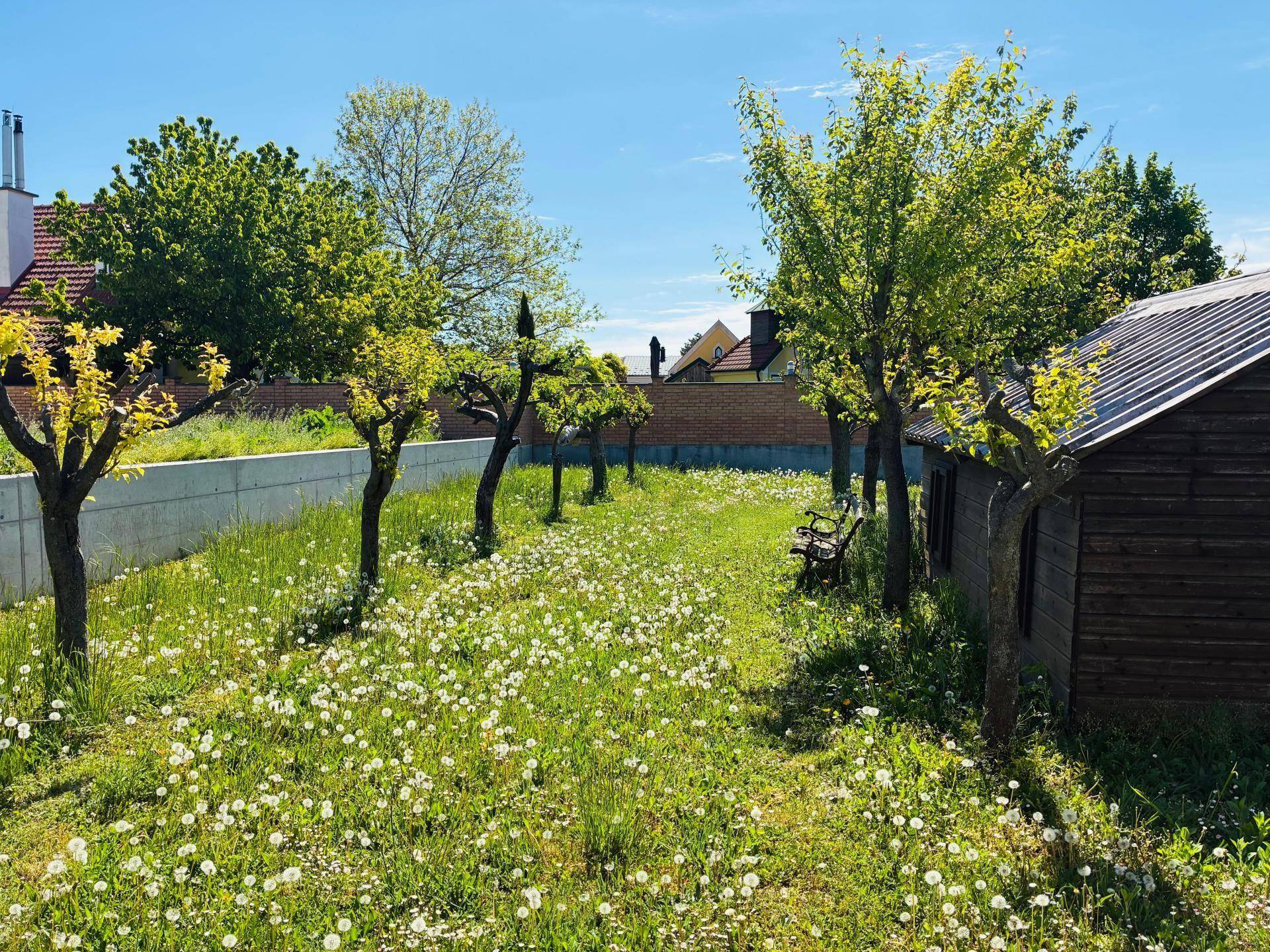 Sonniger Garten mit blühenden Wiesen, jungen Bäumen und einer kleinen Holzhütte im Hintergrund.