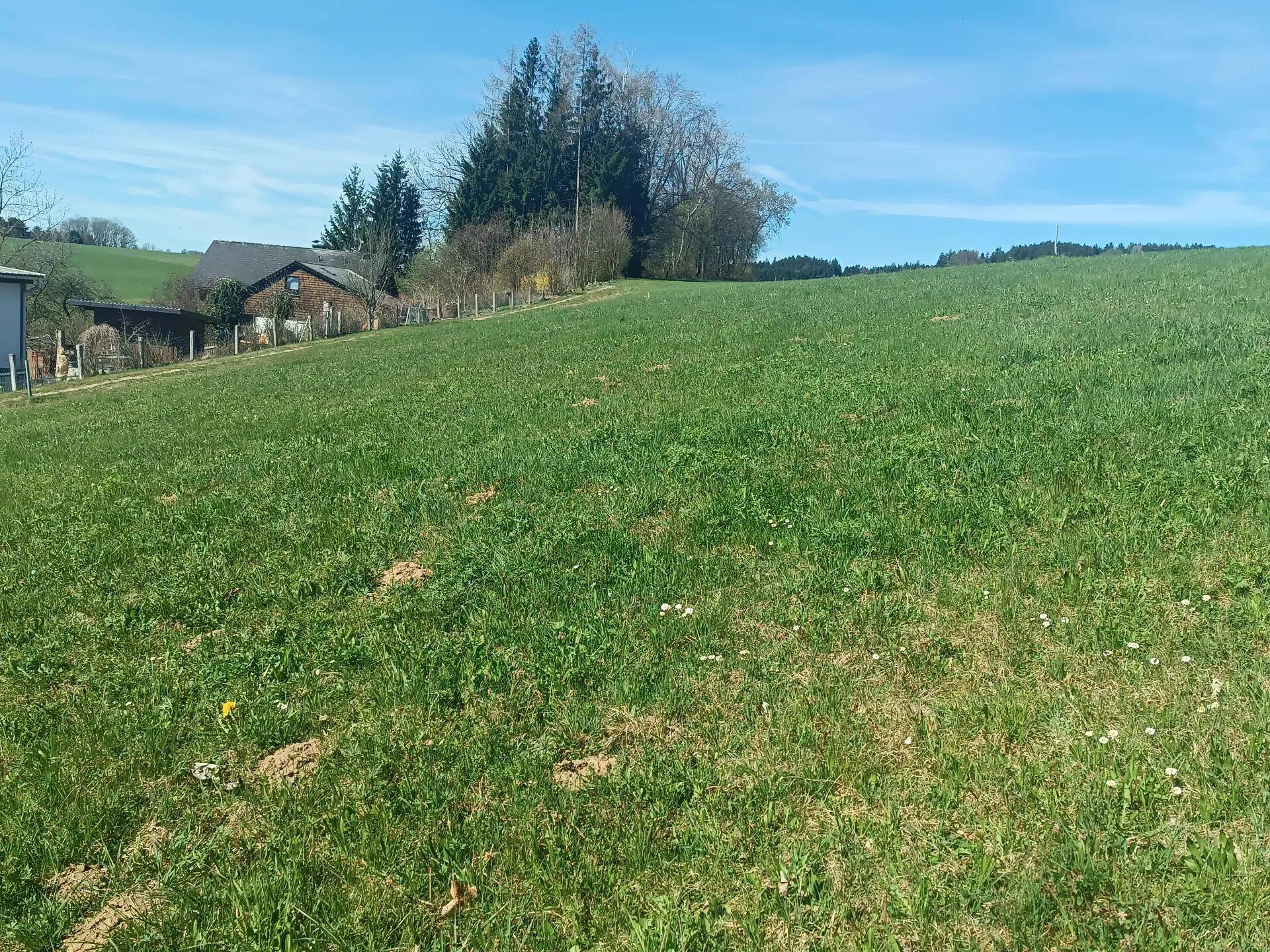 Weitläufige grüne Wiese mit Blick auf entfernte Häuser und bewaldete Hügel.