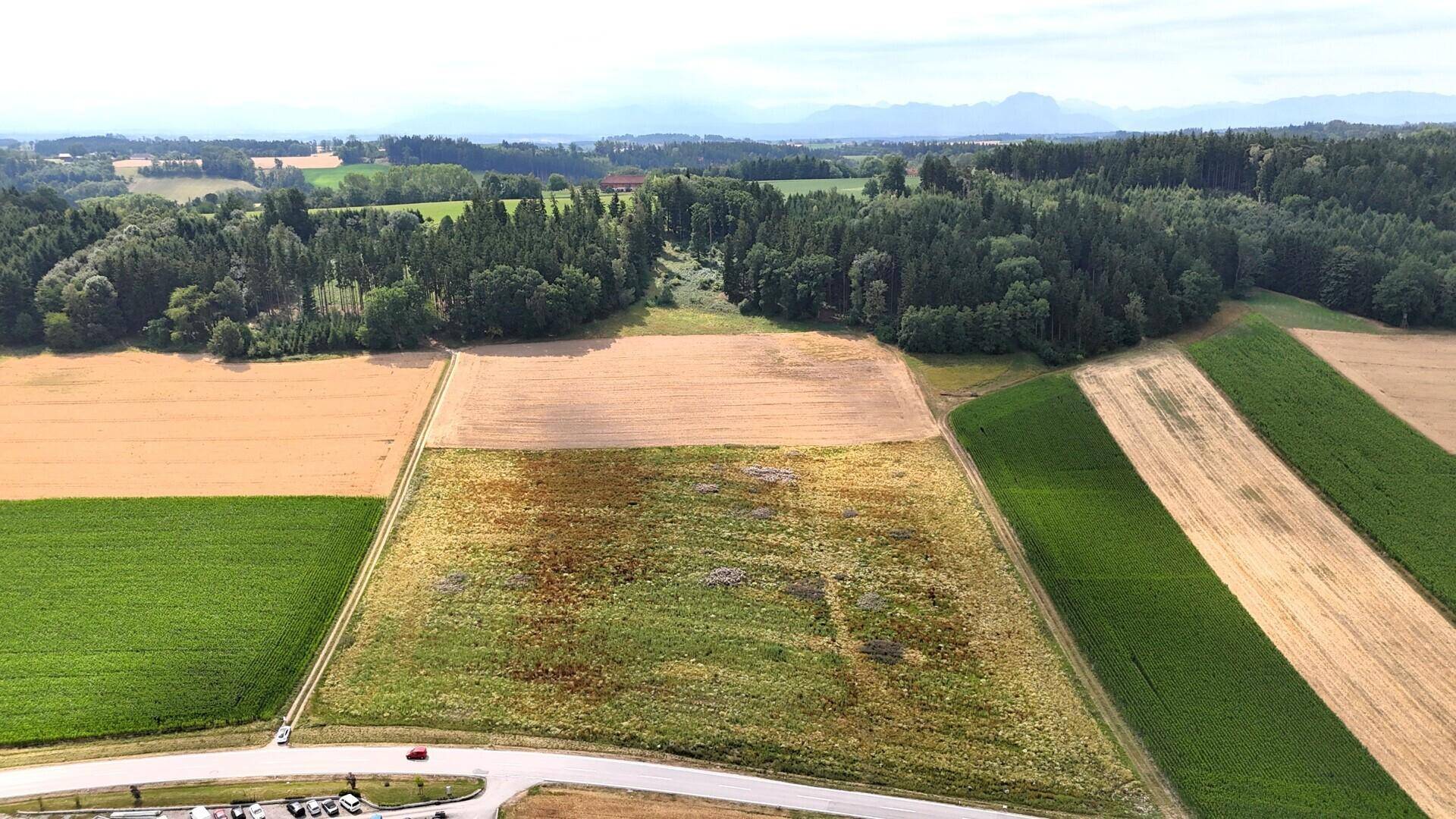 Panoramische Luftaufnahme von landwirtschaftlichen Feldern, Wäldern und einer Straße, mit Bergen am Horizont.