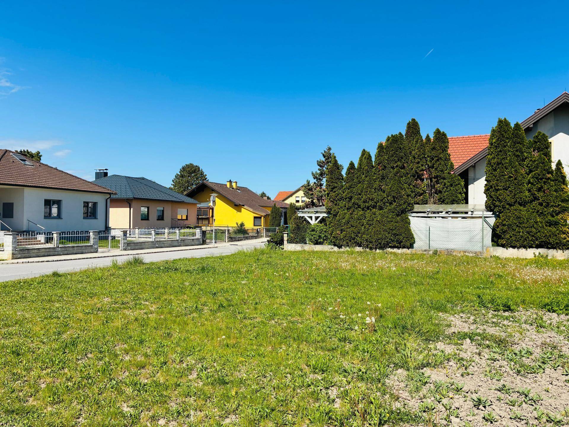 Offenes Baugrundstück mit Wiese, umgeben von verschiedenen Wohnhäusern und hohen Hecken.