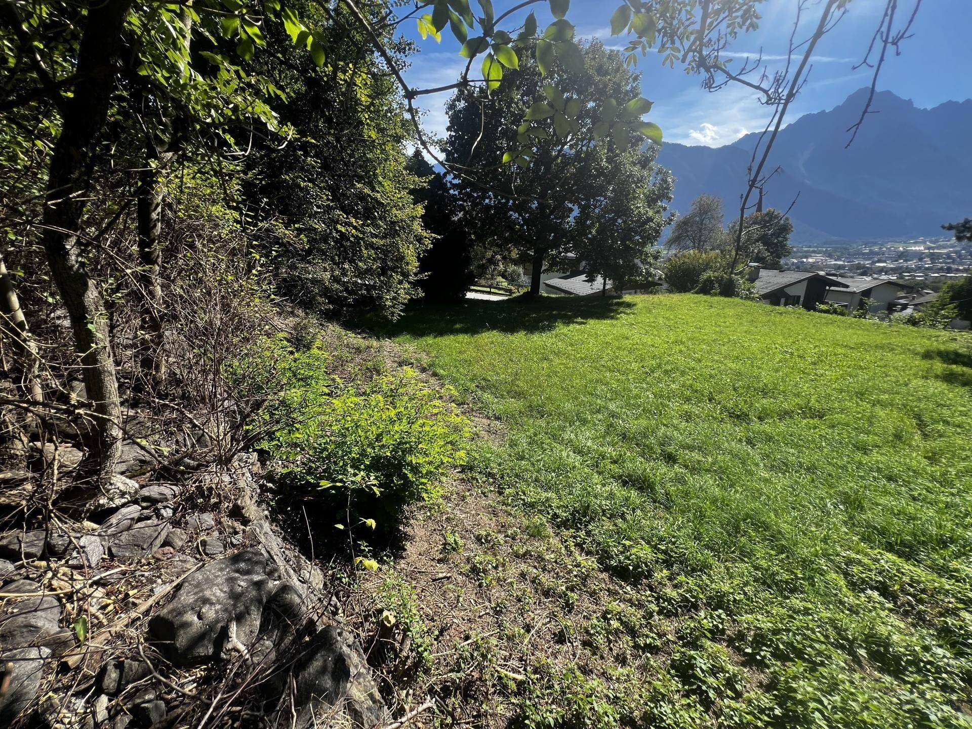 Naturbelassenes Hanggrundstück mit üppiger Vegetation und weitem Blick auf die Berglandschaft.