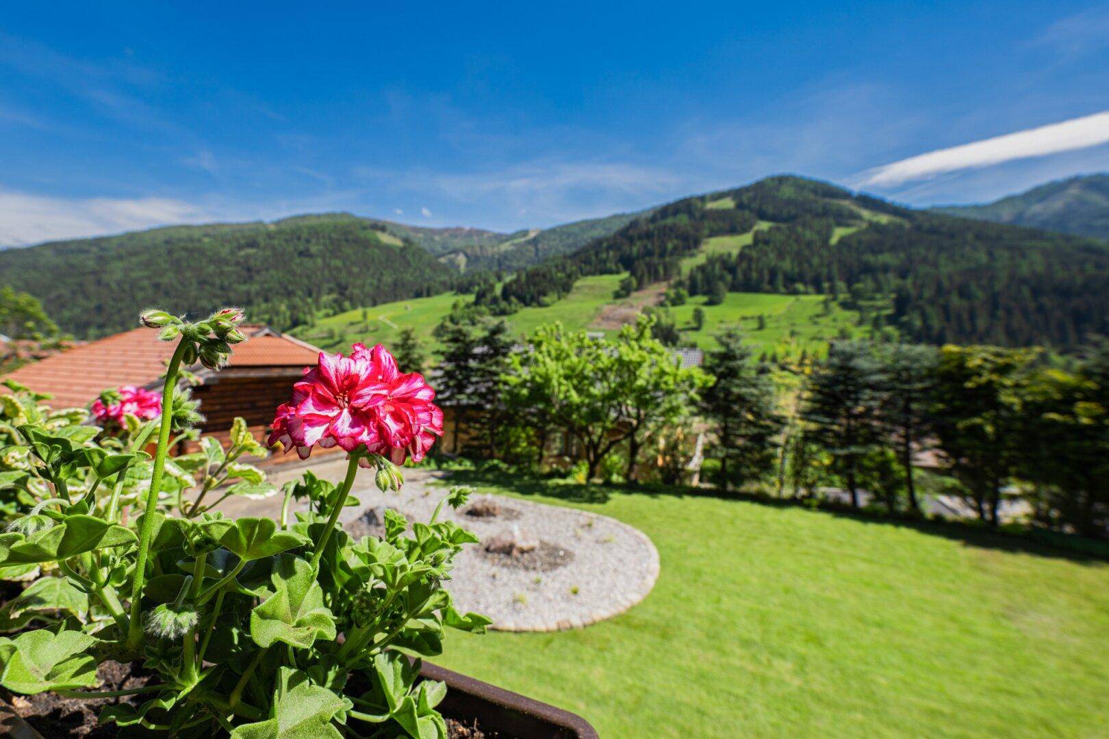 traumhafte Aussicht