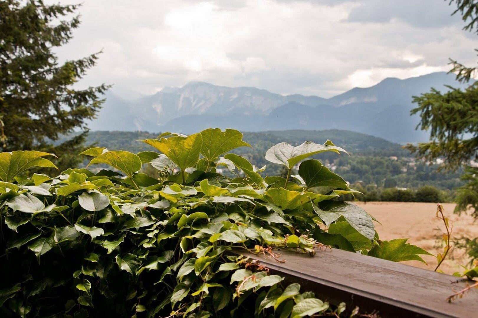 Malerischer Bergblick von einem Balkon, umgeben von üppigem Grün und einer weiten Landschaft.