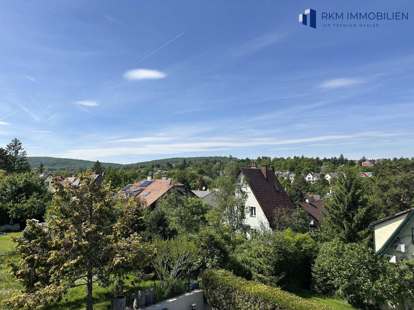 Ausblick