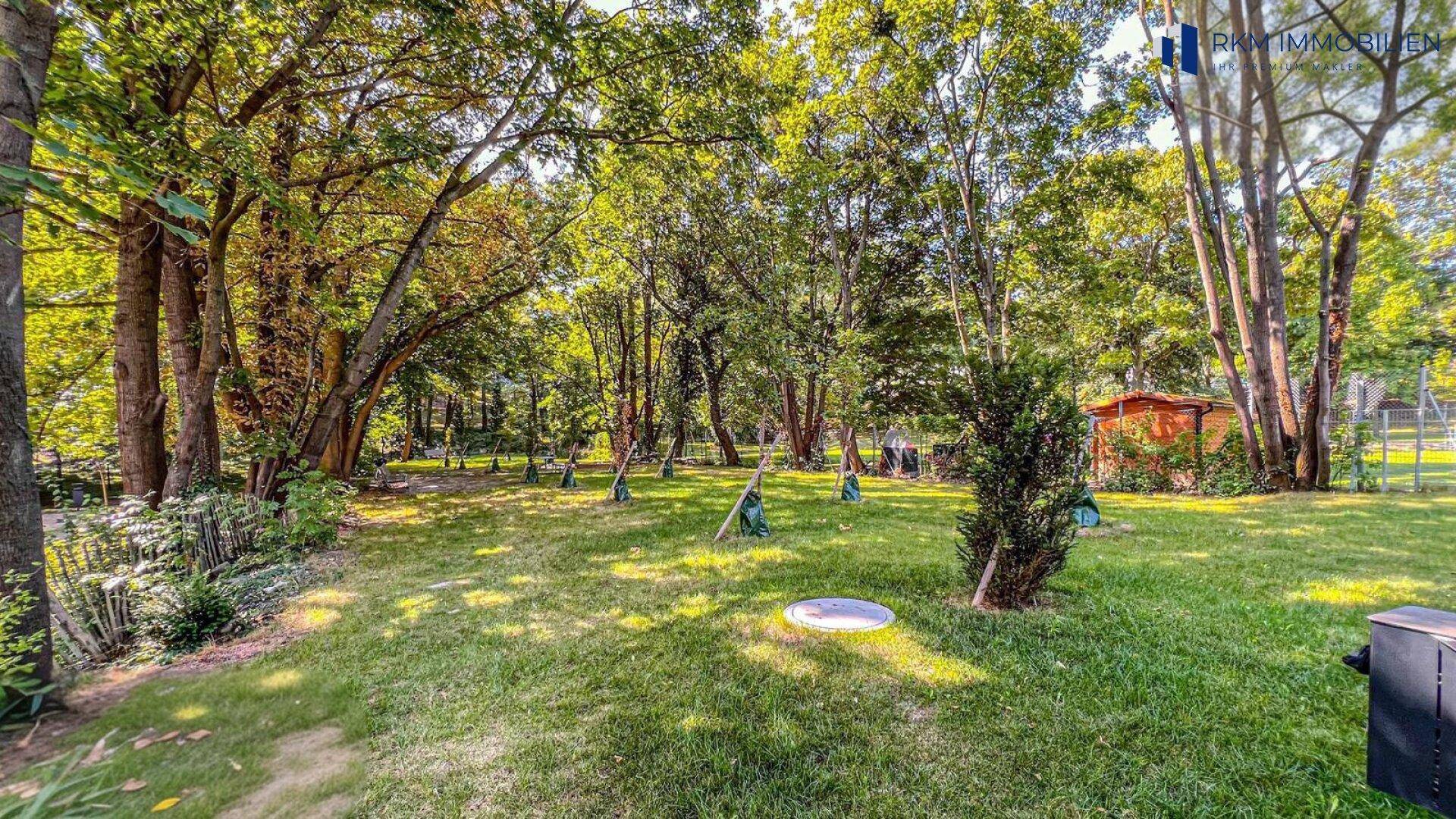 Park
