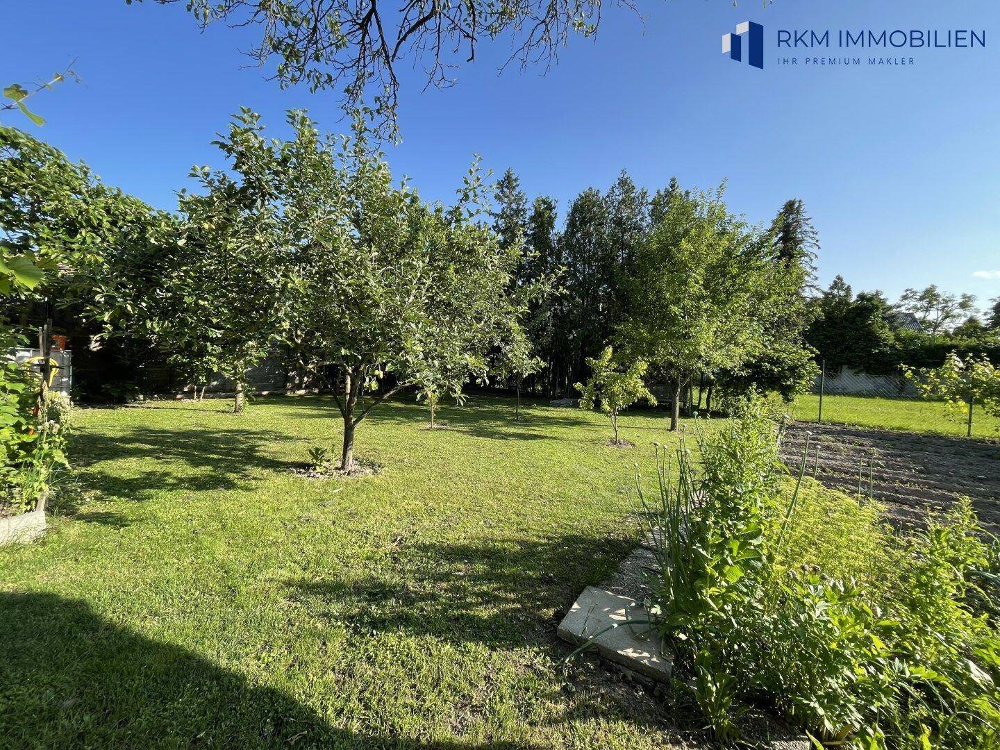 Großer, gepflegter Garten mit Rasenfläche und mehreren Obstbäumen unter blauem Himmel.