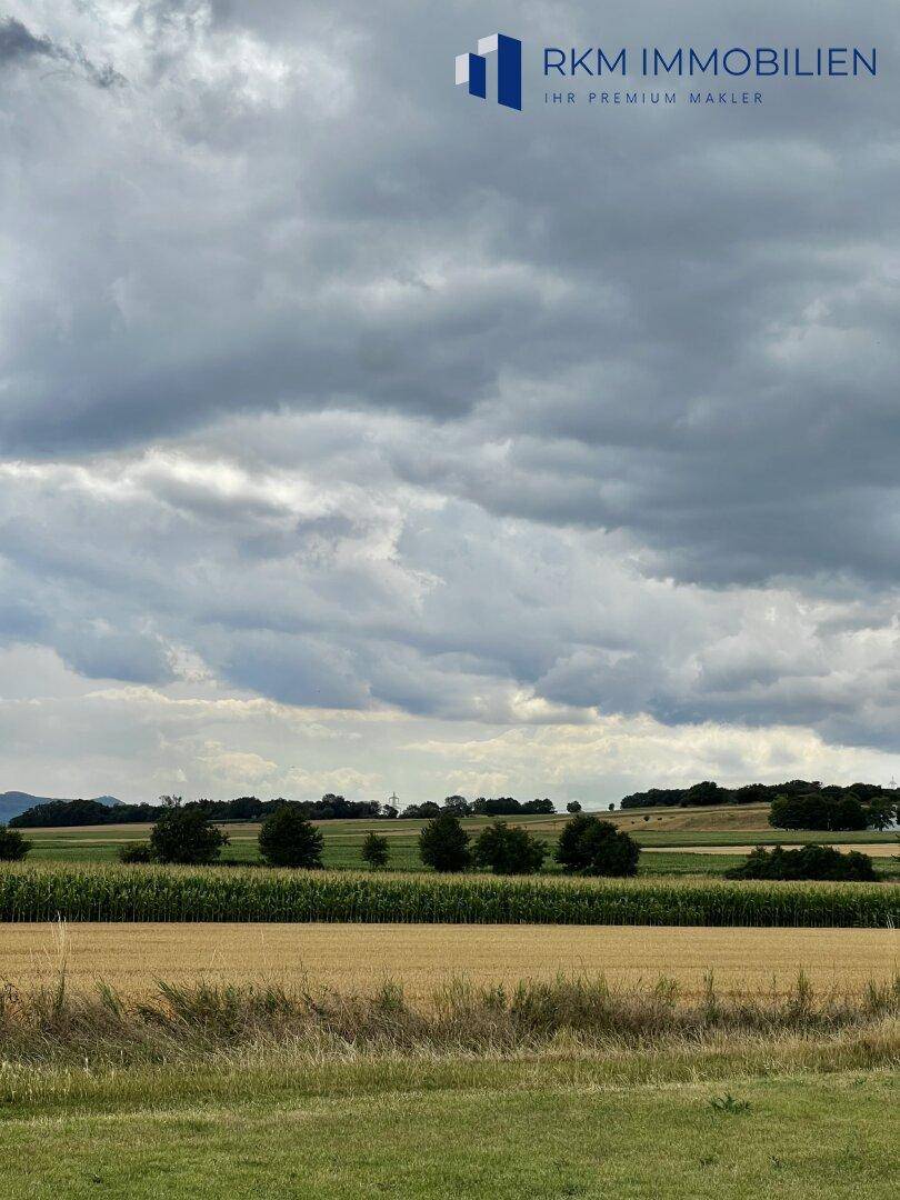 Weitläufige Landschaft mit Feldern und Bäumen unter einem bewölkten Himmel.