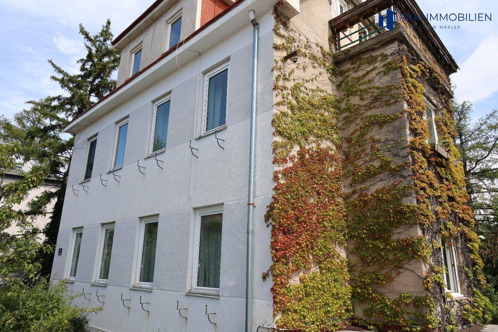 Detailansicht der Hausfassade mit üppigem Efeu und mehreren Fenstern.
