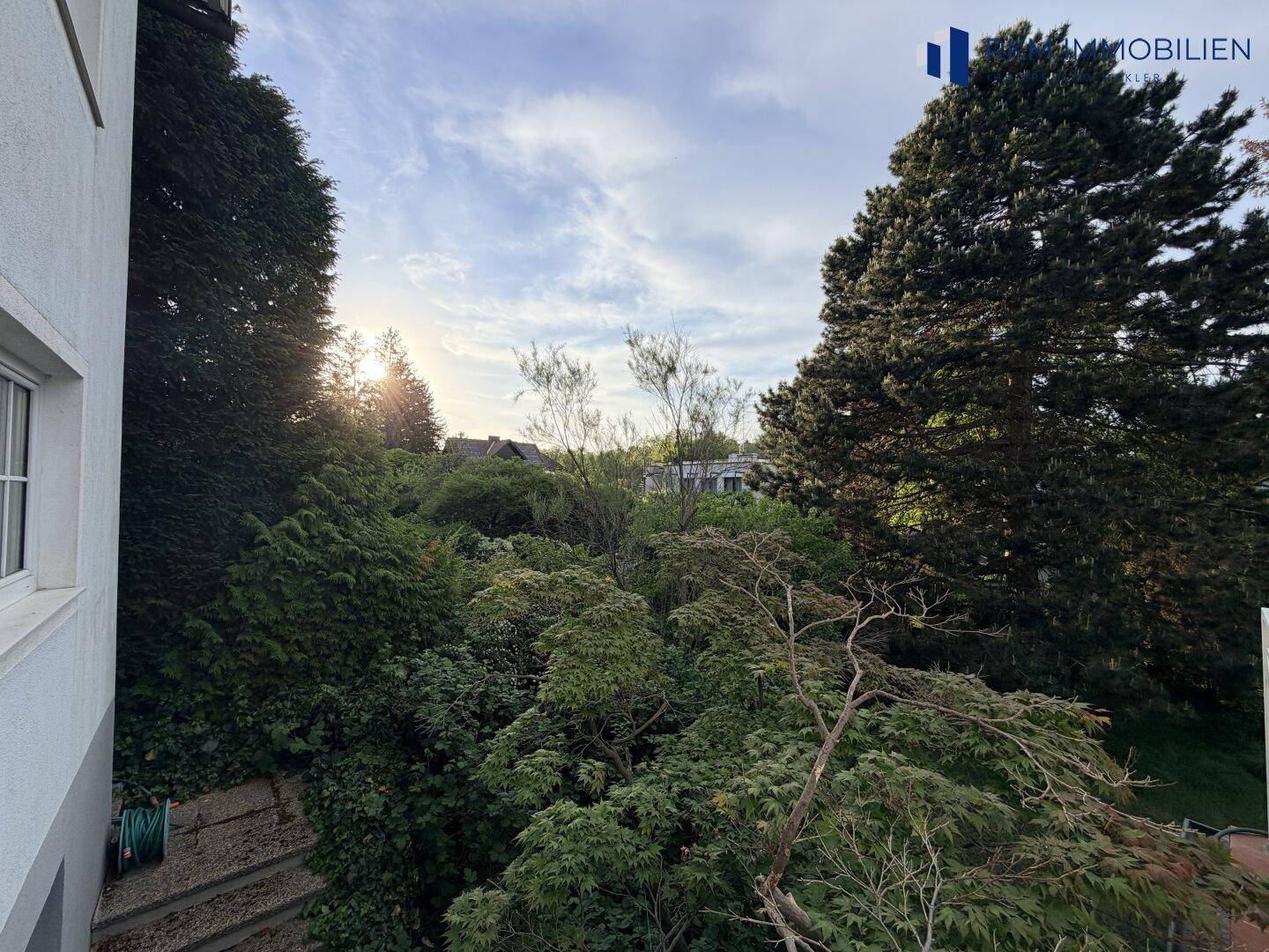 Blick ins Grüne mit dichtem Baumbestand und üppiger Vegetation, bietet Privatsphäre.