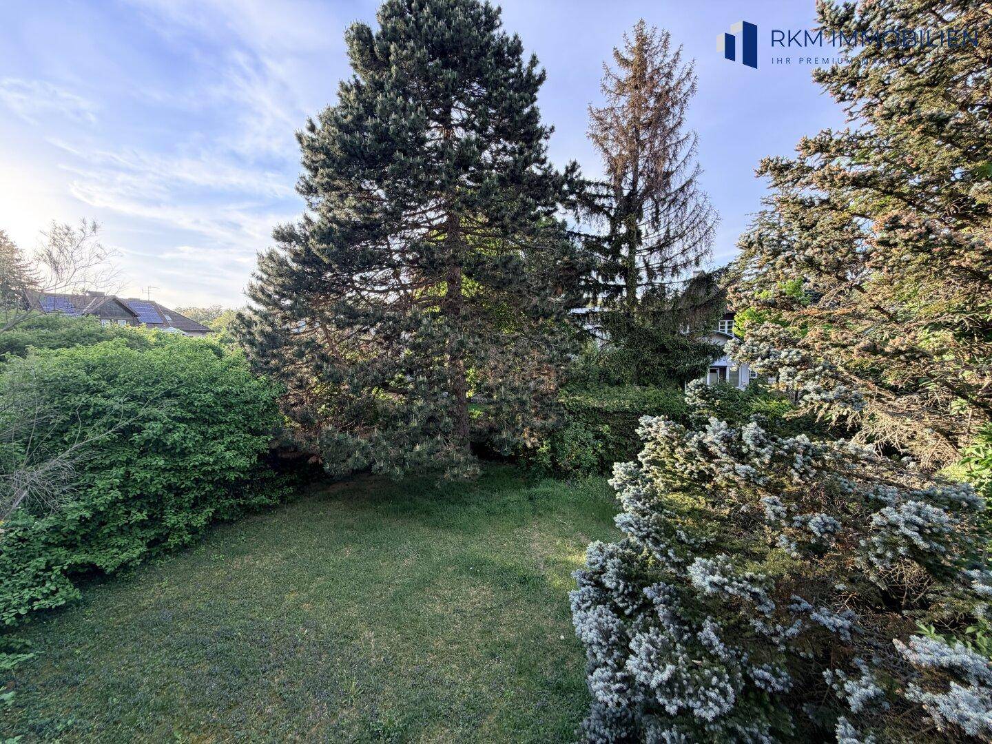 Gepflegter Gartenbereich mit Rasen und hohen Bäumen, bietet eine ruhige und natürliche Umgebung.