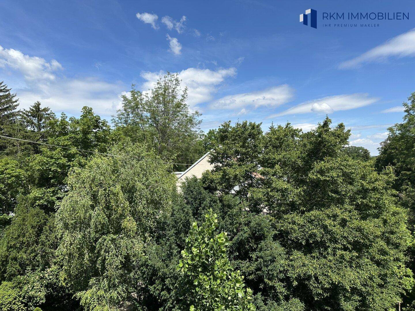 Malerischer Ausblick ins Grüne mit dichtem Baumbestand und blauem Himmel, sehr ruhig gelegen.