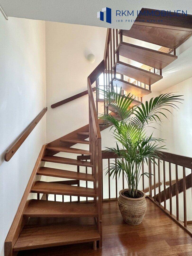 Elegante Holztreppe verbindet die Etagen und ist mit einer Palme dekoriert.