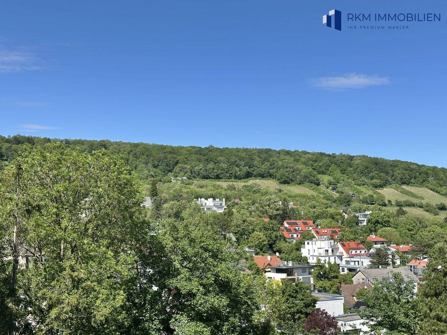 Weitläufiger Blick über grüne Hügel, Weinberge und eine malerische Siedlung unter klarem Himmel.