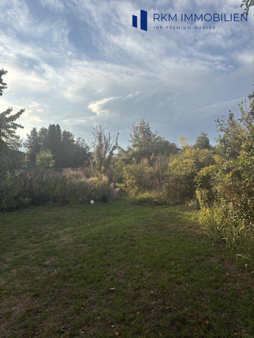 Naturbelassener Gartenbereich mit hohem Gras und Bäumen, der viel Potenzial zur Gestaltung bietet.
