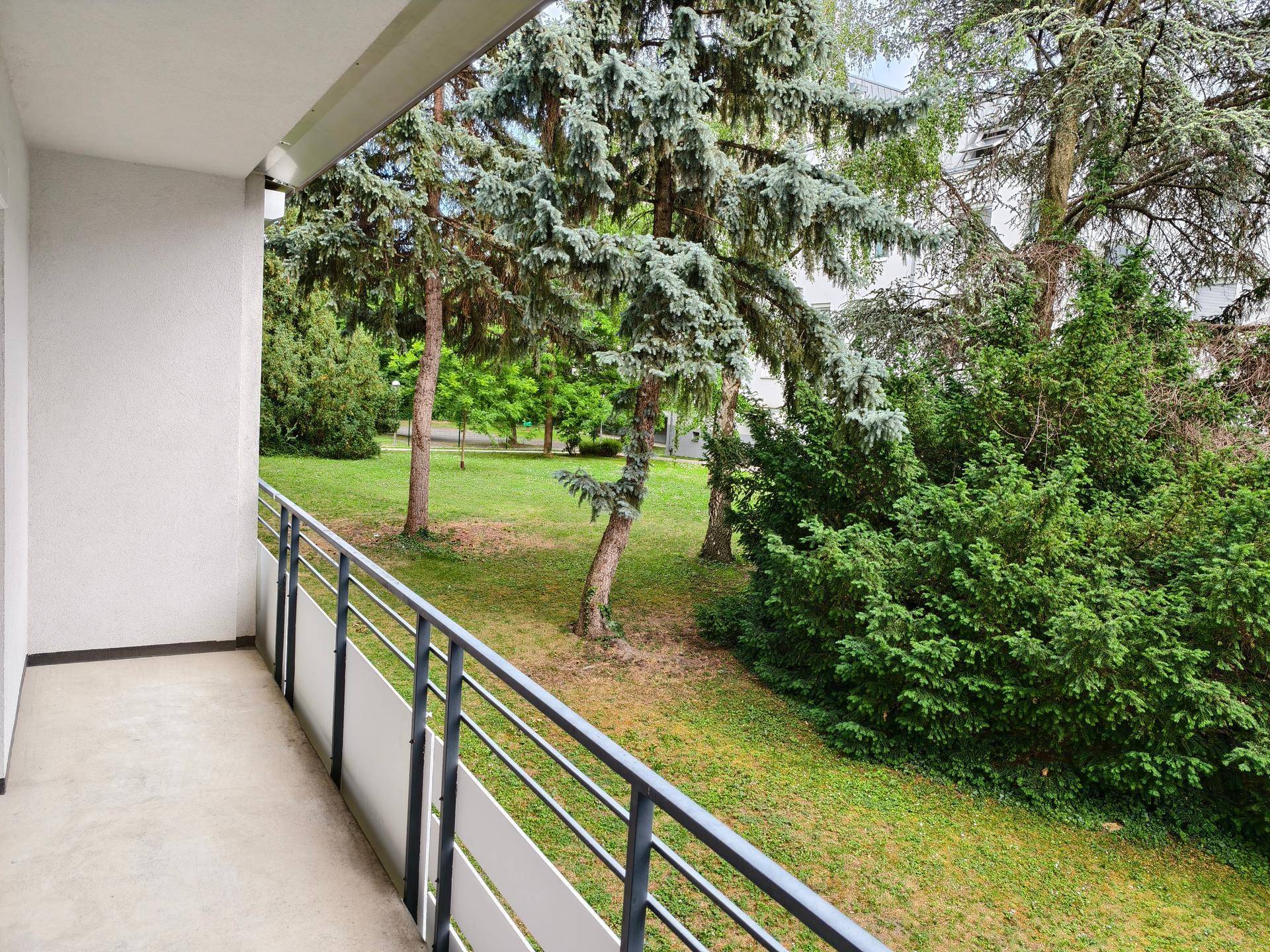 Balkon mit Blick ins Grüne und auf alte Bäume, ideal zum Entspannen im Freien.