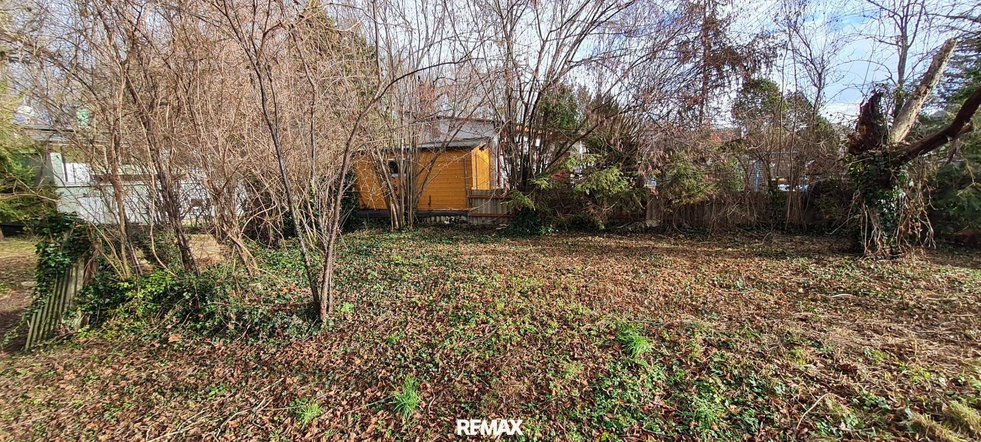 Naturbelassener Gartenbereich mit einem kleinen Holzschuppen und dichtem Bewuchs im Hintergrund.